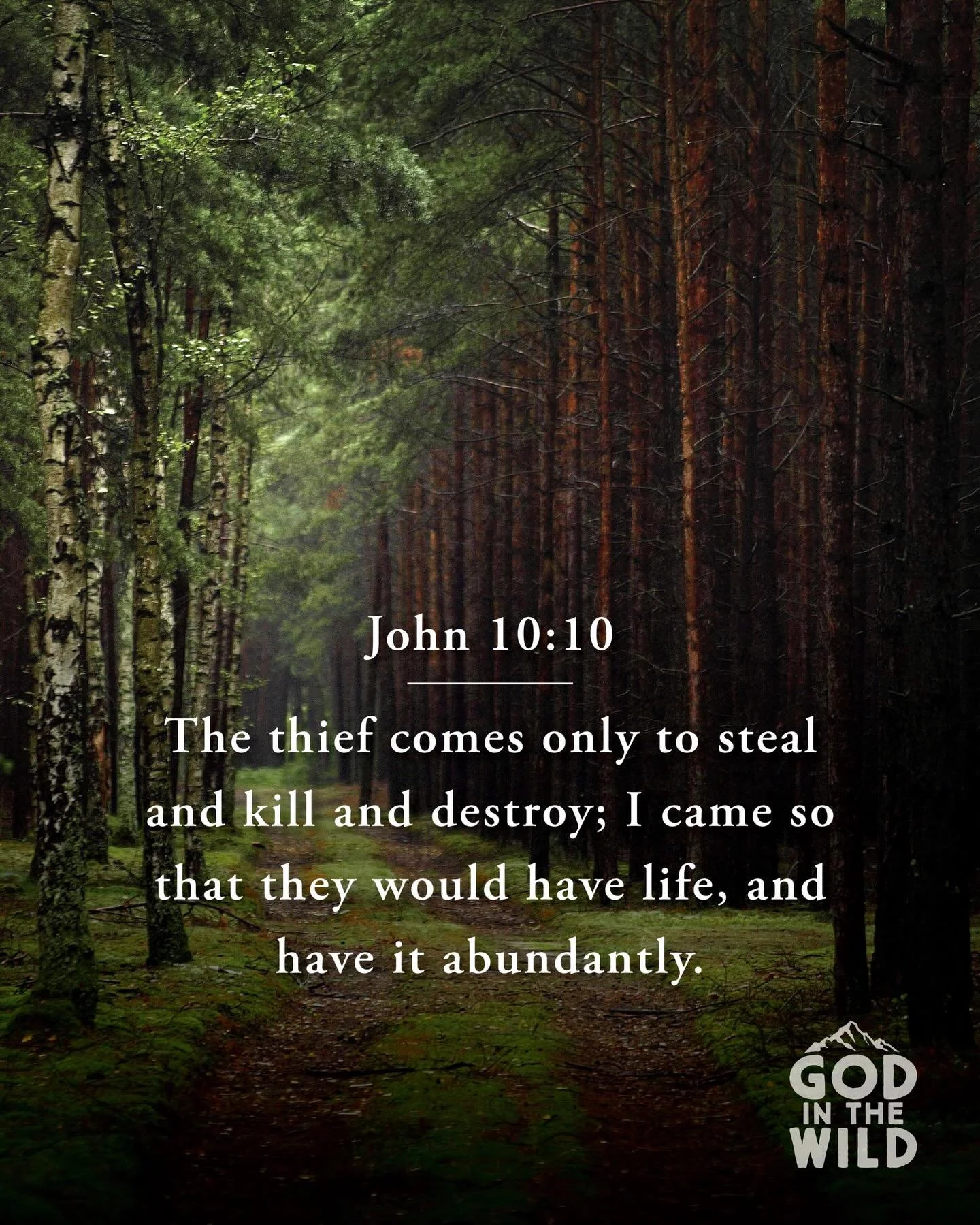 LIKE and SHARE if you want that abundant life!

#godinthewild #christiantelevision #jesus