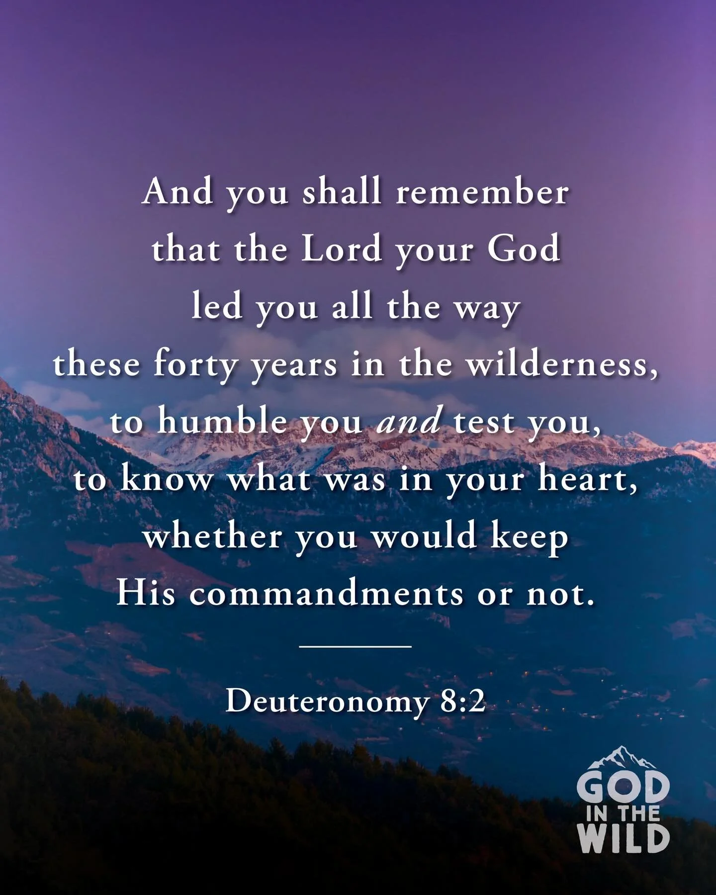 Has your faith ever been tested in the wilderness of life?

#gitw #godinthewild #jesus #godiswild #godiswildaboutyou