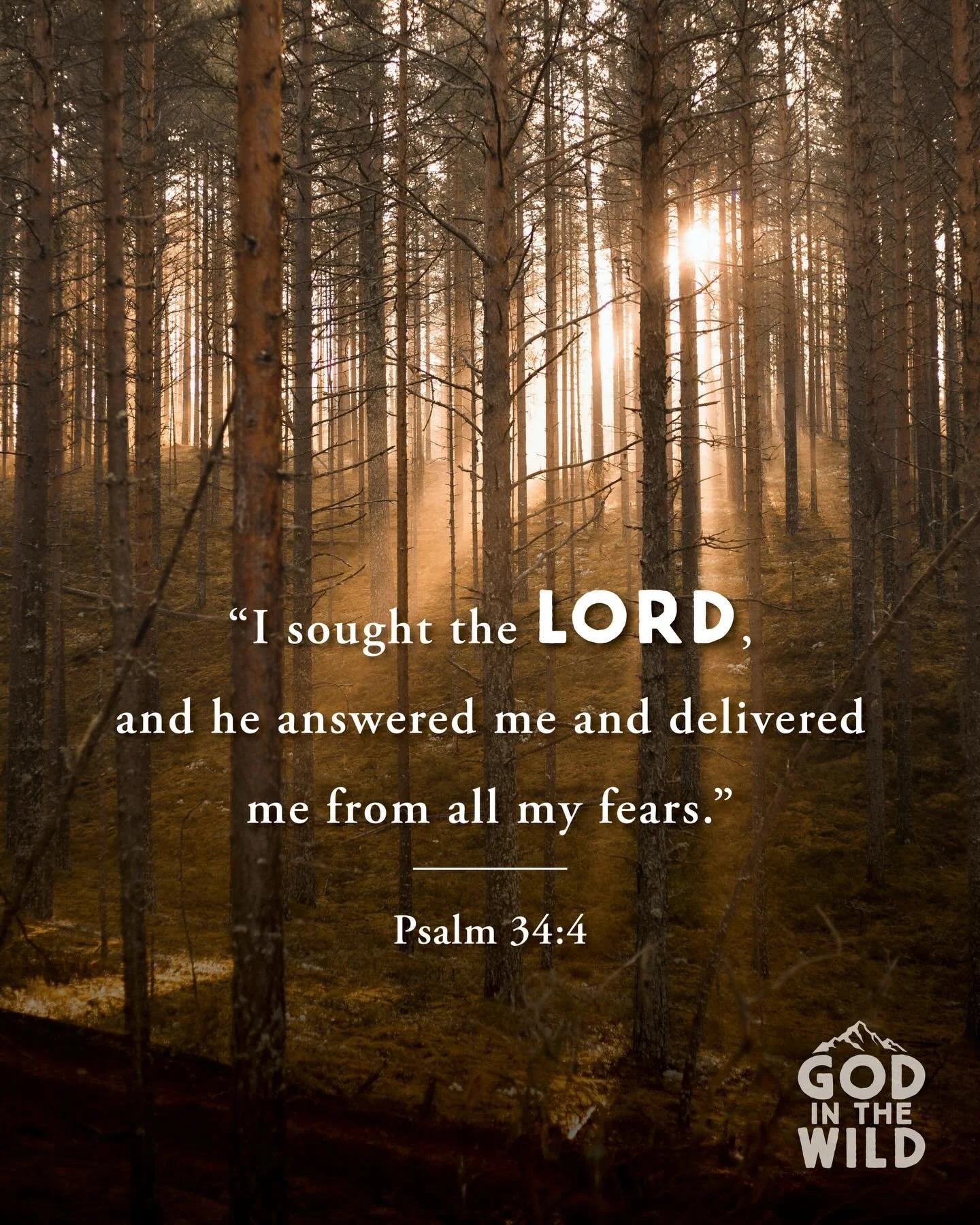 In the quiet of the wild, some fears don&rsquo;t survive.

#godinthewild #jesus #seekinggod