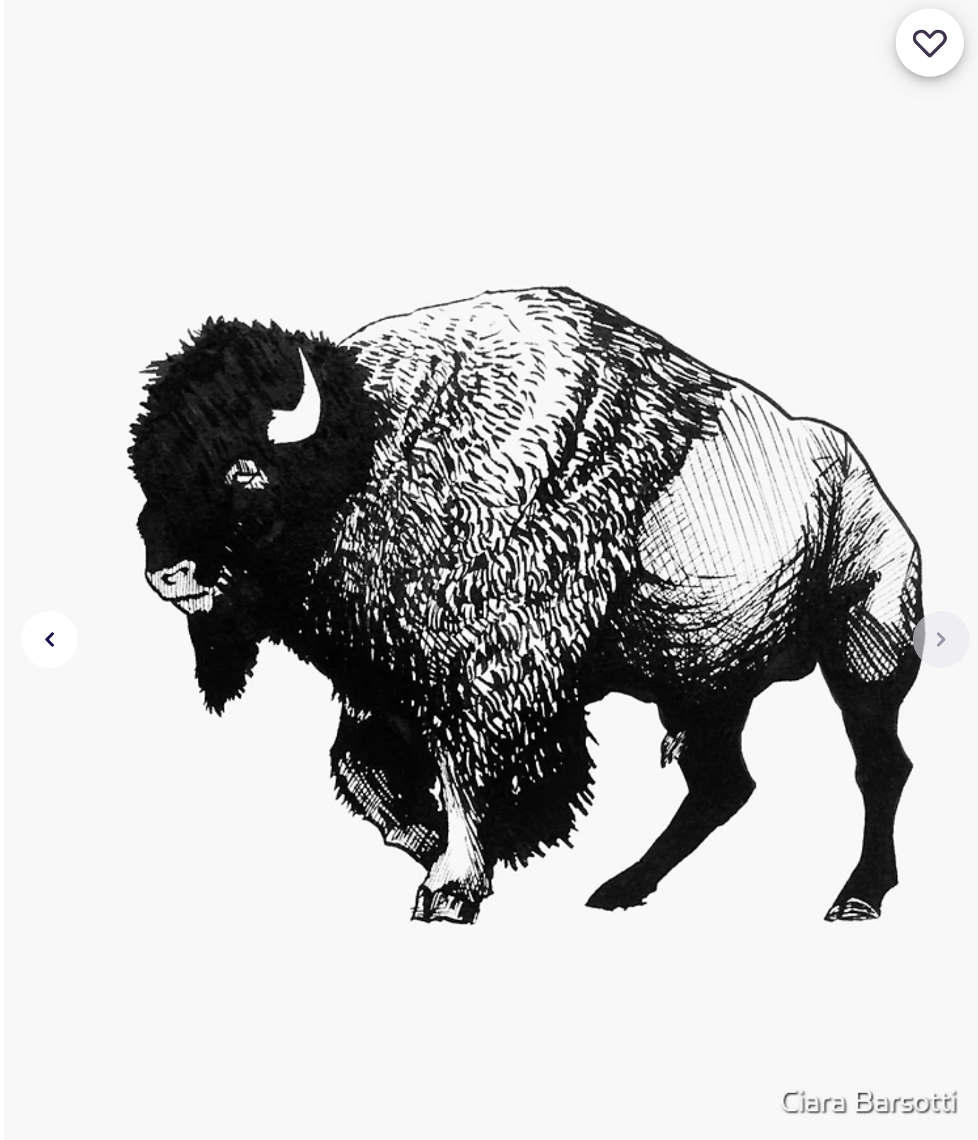 Screenshot 2024-03-02 at 15-21-35 Buffalo Ink Bison Drawing Sticker for Sale by Ciara Barsotti.png