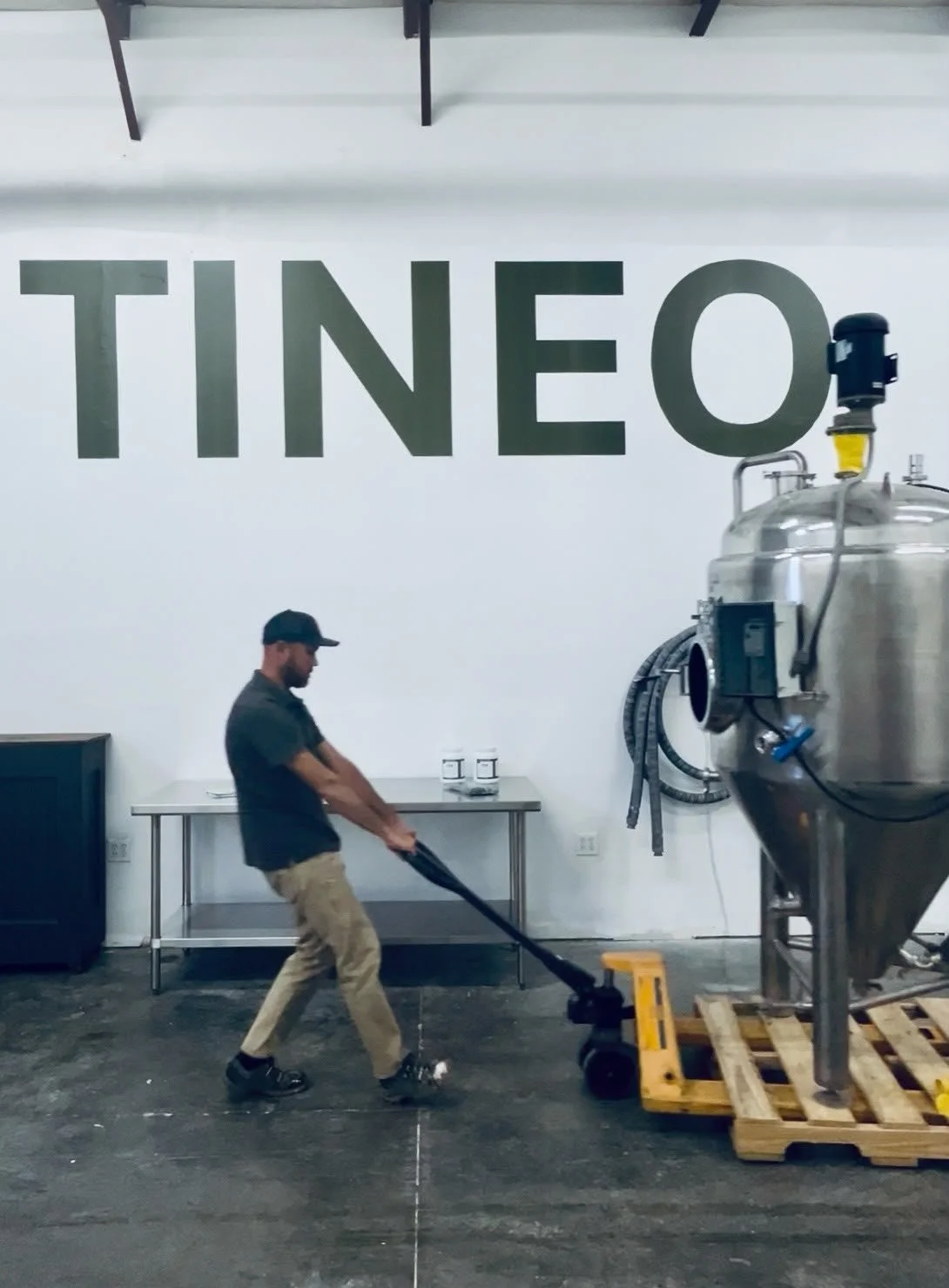 Tineo is Now Real