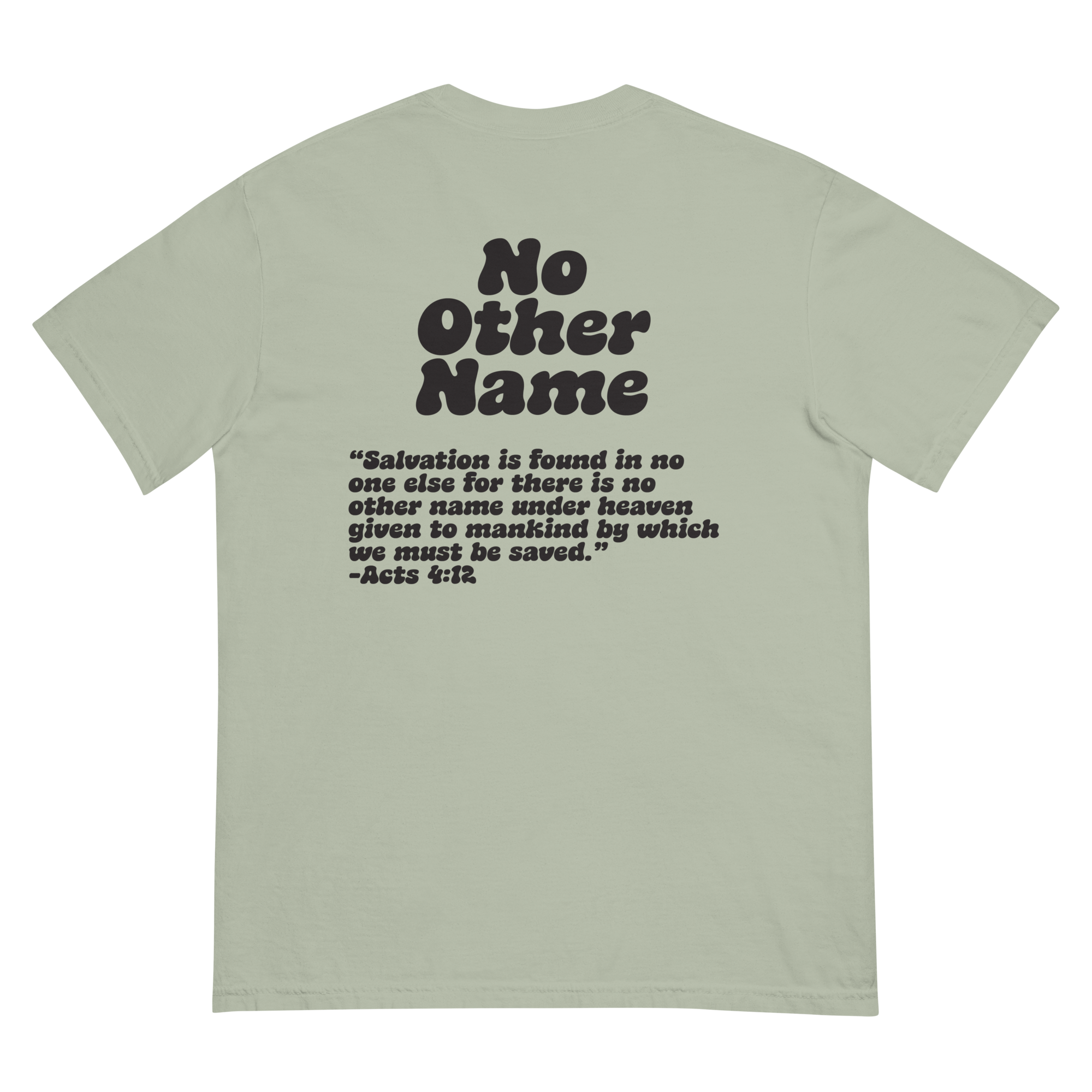 unisex-garment-dyed-heavyweight-t-shirt-bay-back-6aa78a8038e22.png