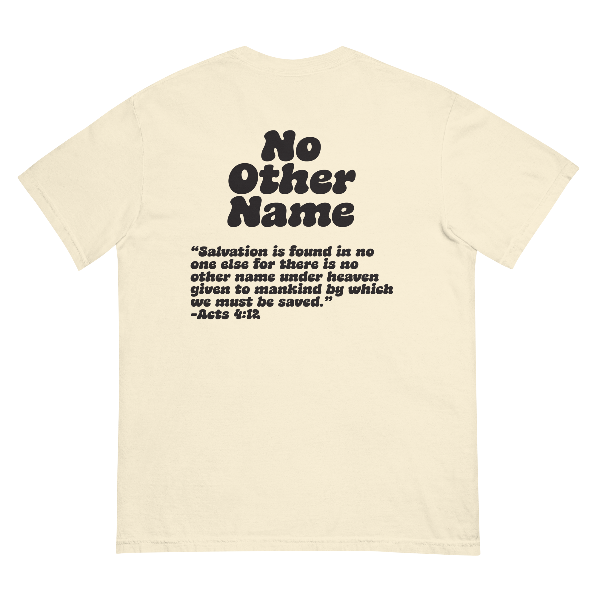 unisex-garment-dyed-heavyweight-t-shirt-ivory-back-6aa78a8038ec9.png