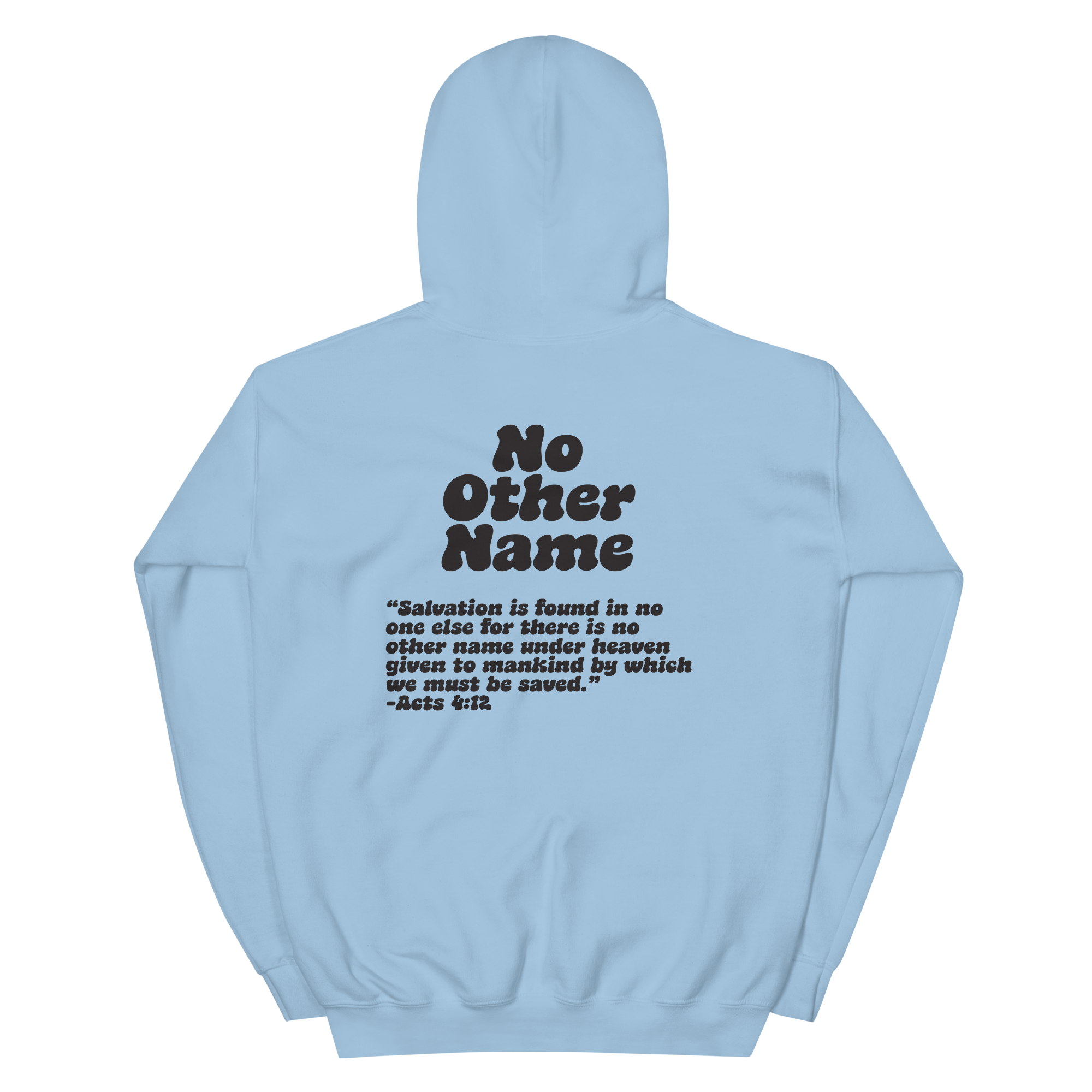 unisex-heavy-blend-hoodie-light-blue-back-6aa78ae45780f.png