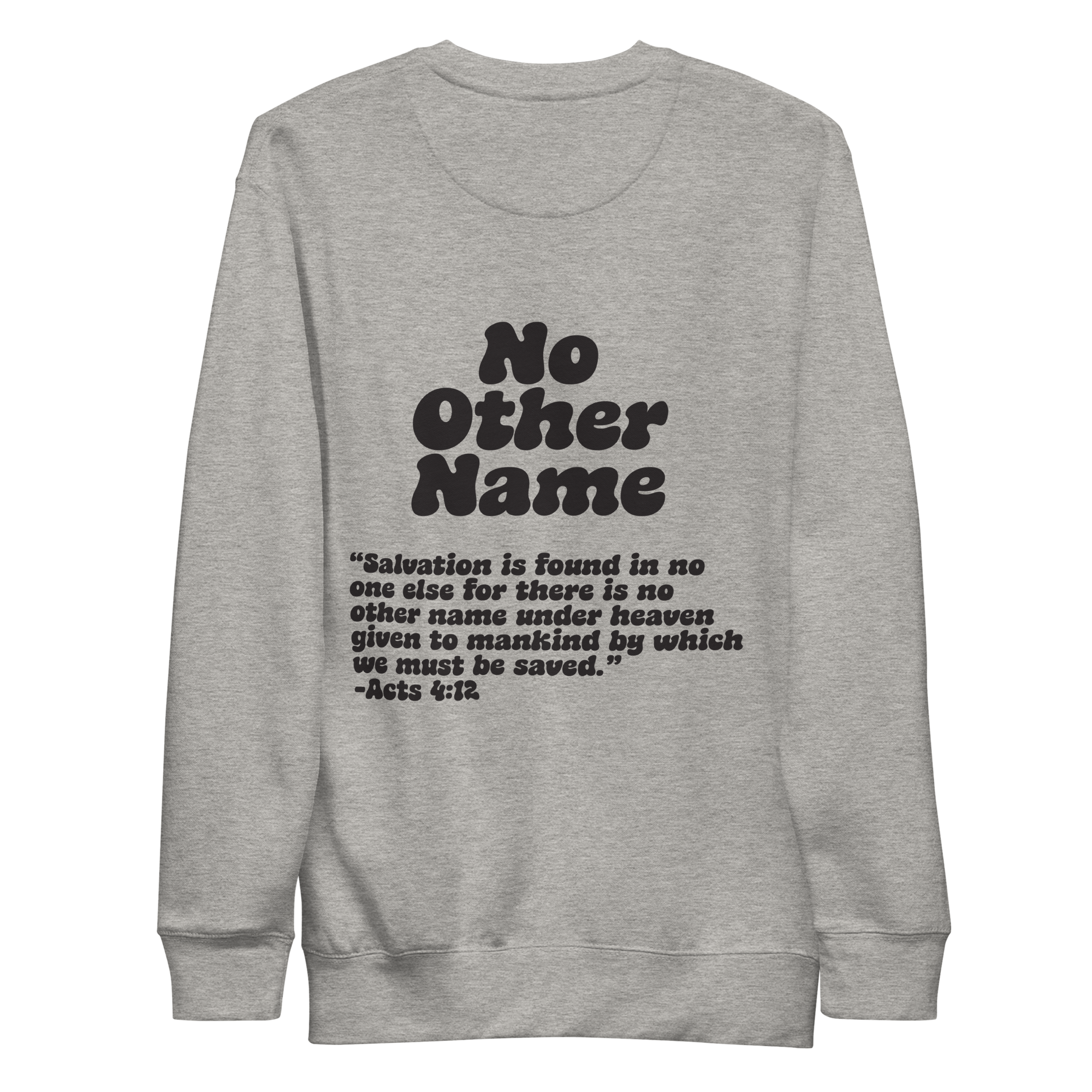 unisex-premium-sweatshirt-carbon-grey-back-6aa78bc858714.png