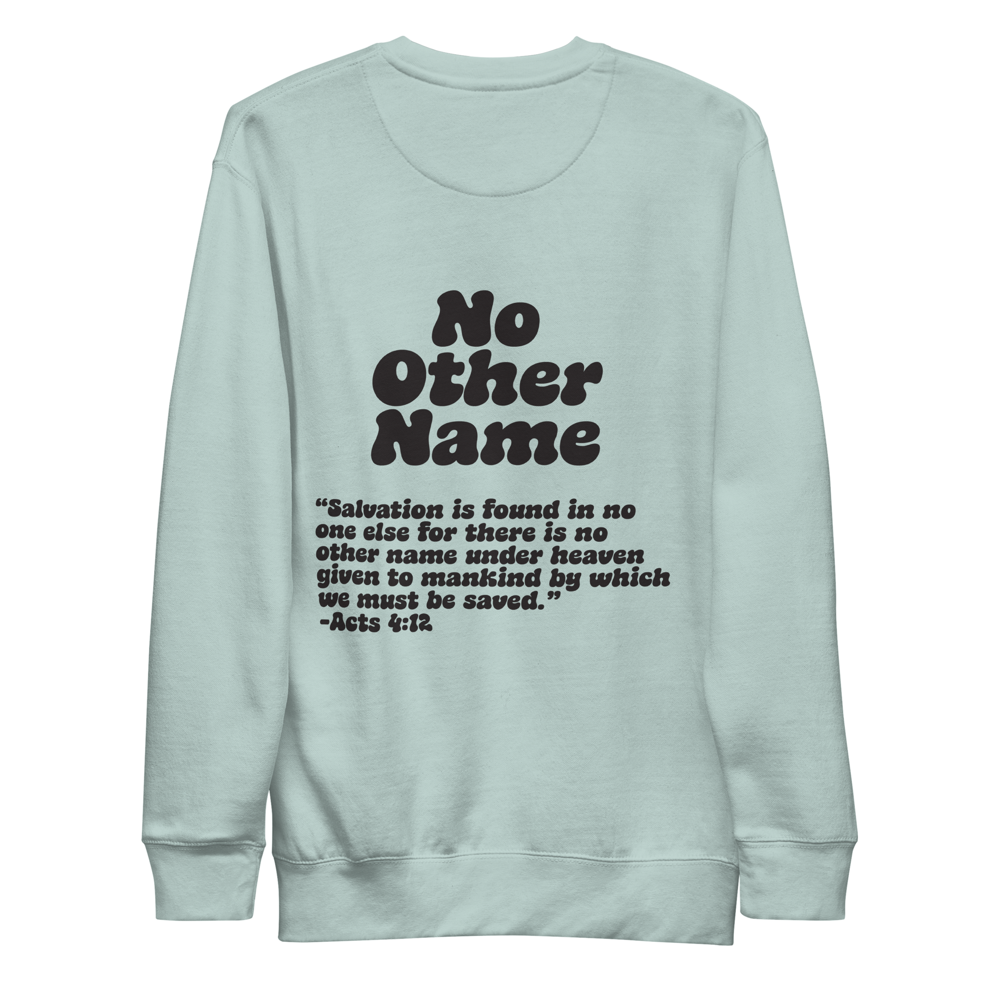 unisex-premium-sweatshirt-agave-back-6aa78bc8586c1.png
