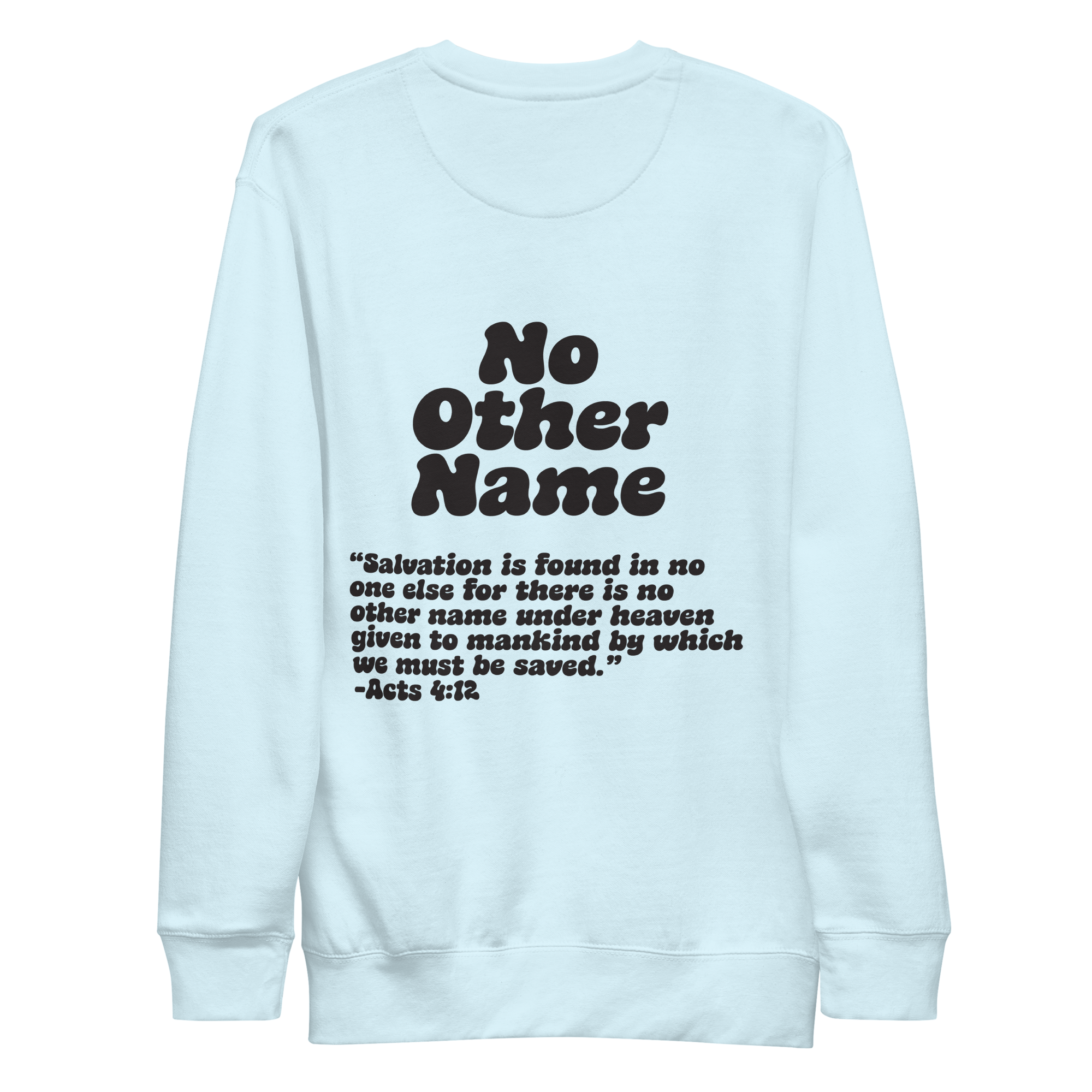 unisex-premium-sweatshirt-sky-blue-back-6aa78bc8587ba.png