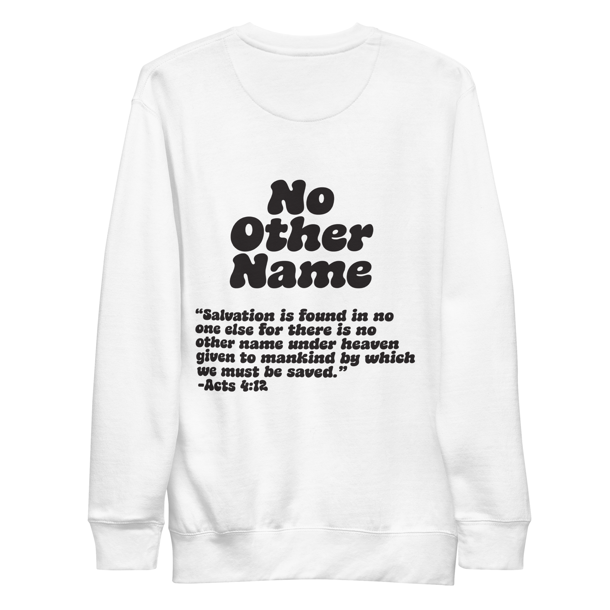 unisex-premium-sweatshirt-white-back-6aa78bc85874f.png