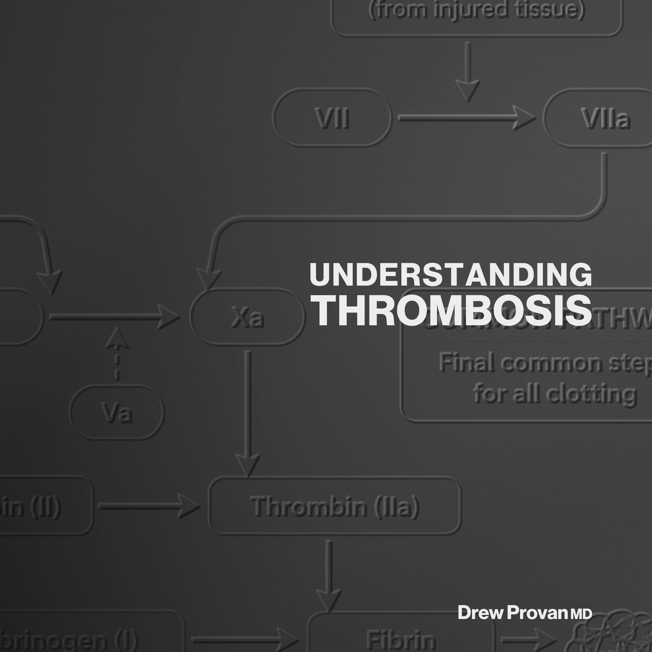 Thrombosis book cover for website1.png