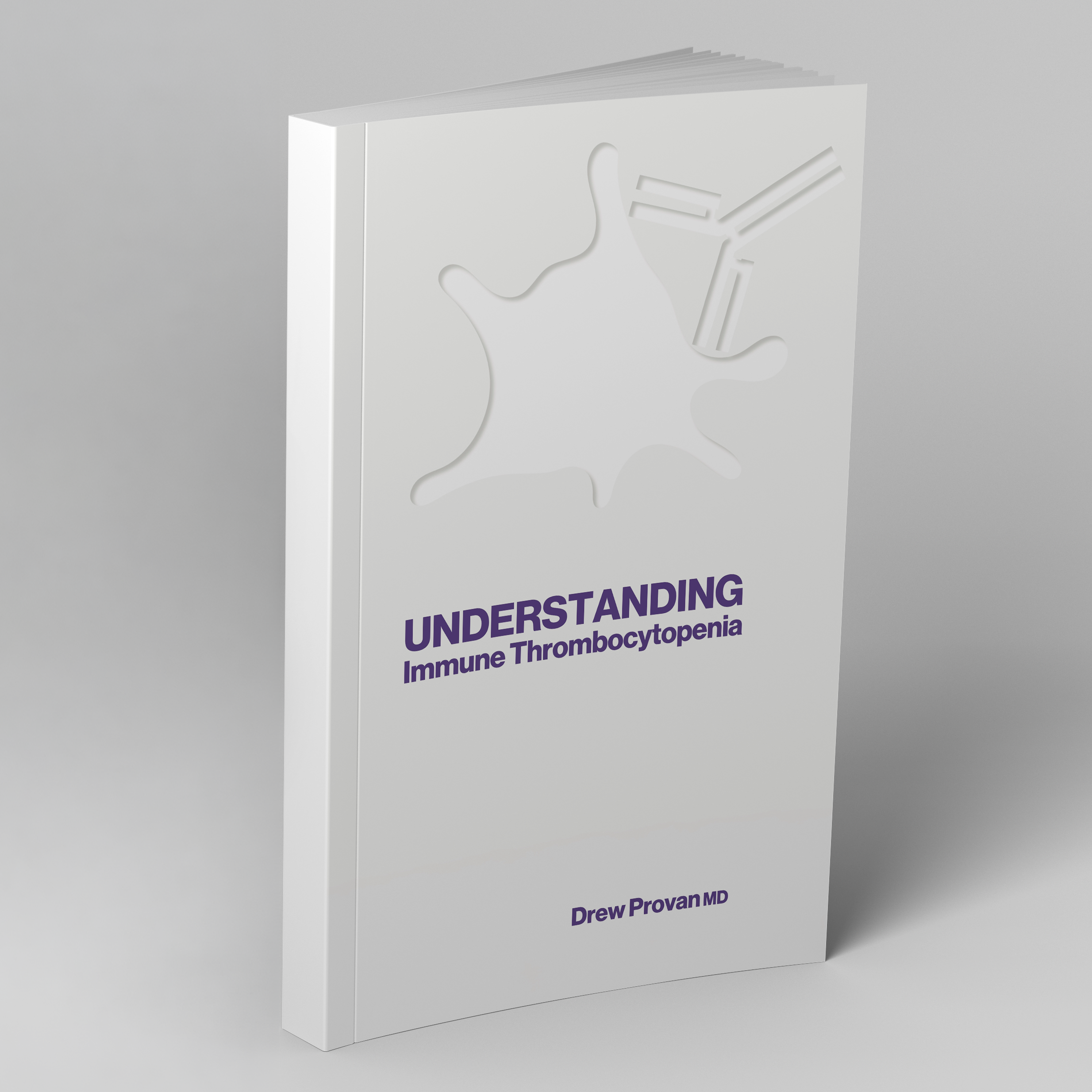 ITP book mockup.png