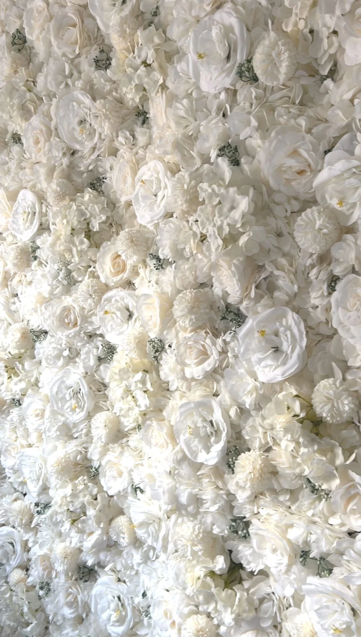 A wall decorated with densely packed white artificial flowers, including roses, peonies, and other blossoms.