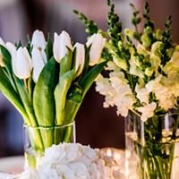 Three pumpkins with fall leaves around them