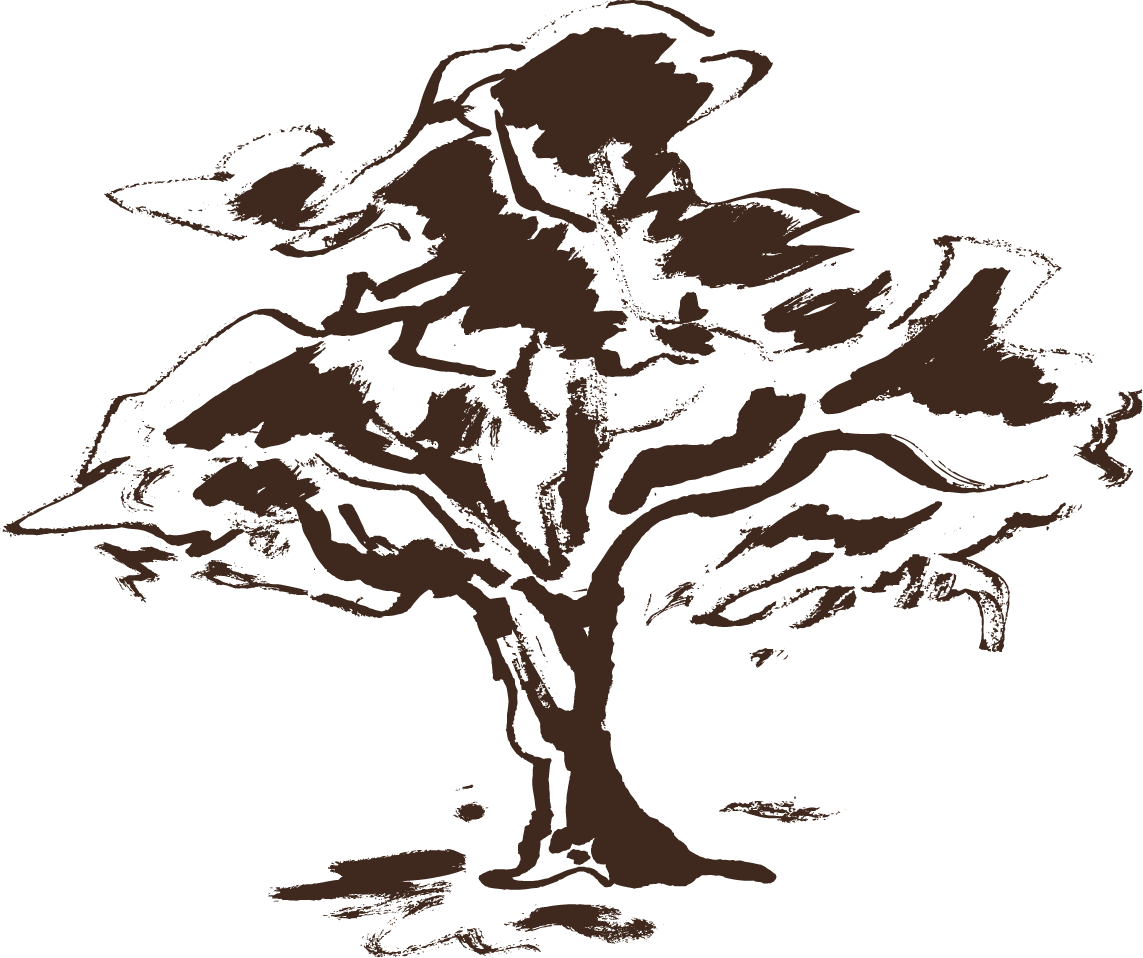 Silhouette of a tree with branches and leaves, brown color on black background.