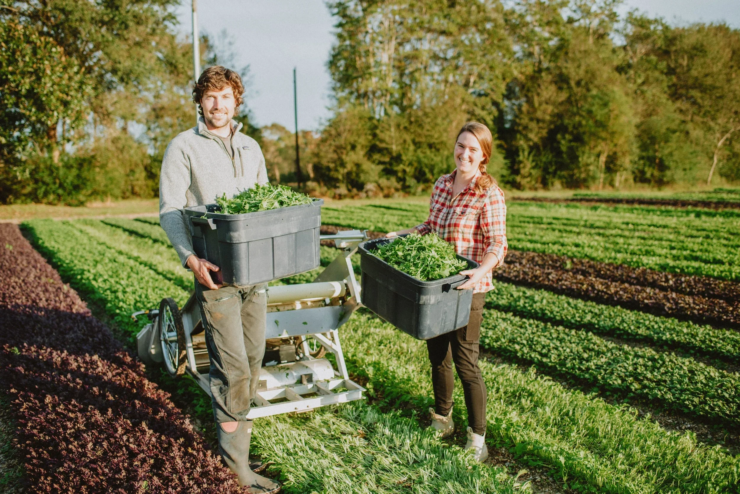 A man and woman stand in a green farm field holding large black containers filled with freshly picked leafy greens, smiling. The field has rows of various vegetables and is surrounded by trees.