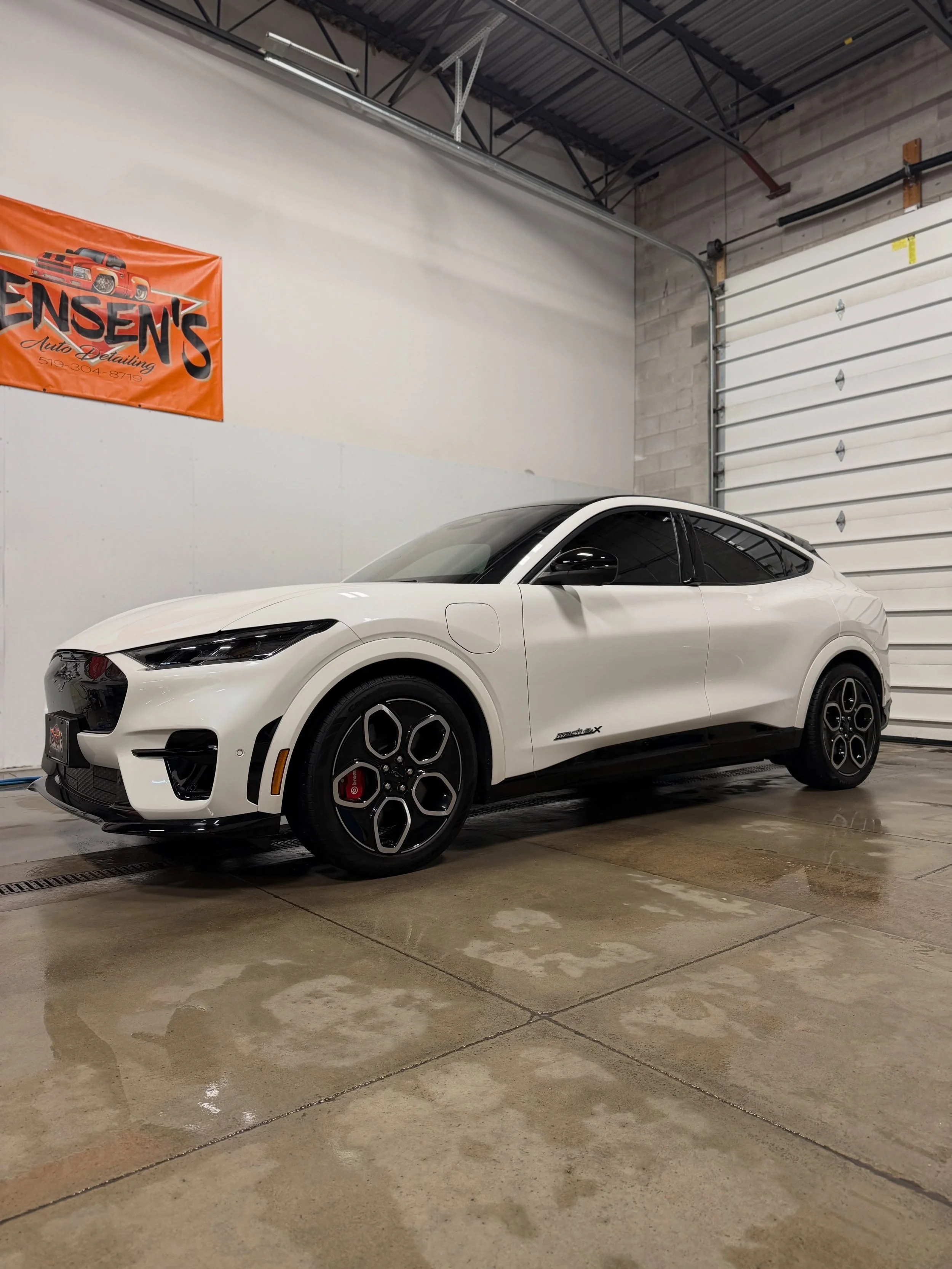 This 2024 Ford Mustang Mach-E left Jensen&rsquo;s with the perfect combination of protection, performance &amp; style. ✨

Modesta BC-04 Nano-Titanium Glass Coating
BC-04 combines Modesta&rsquo;s Pure Liquid Glass technology with nano-grade titanium t
