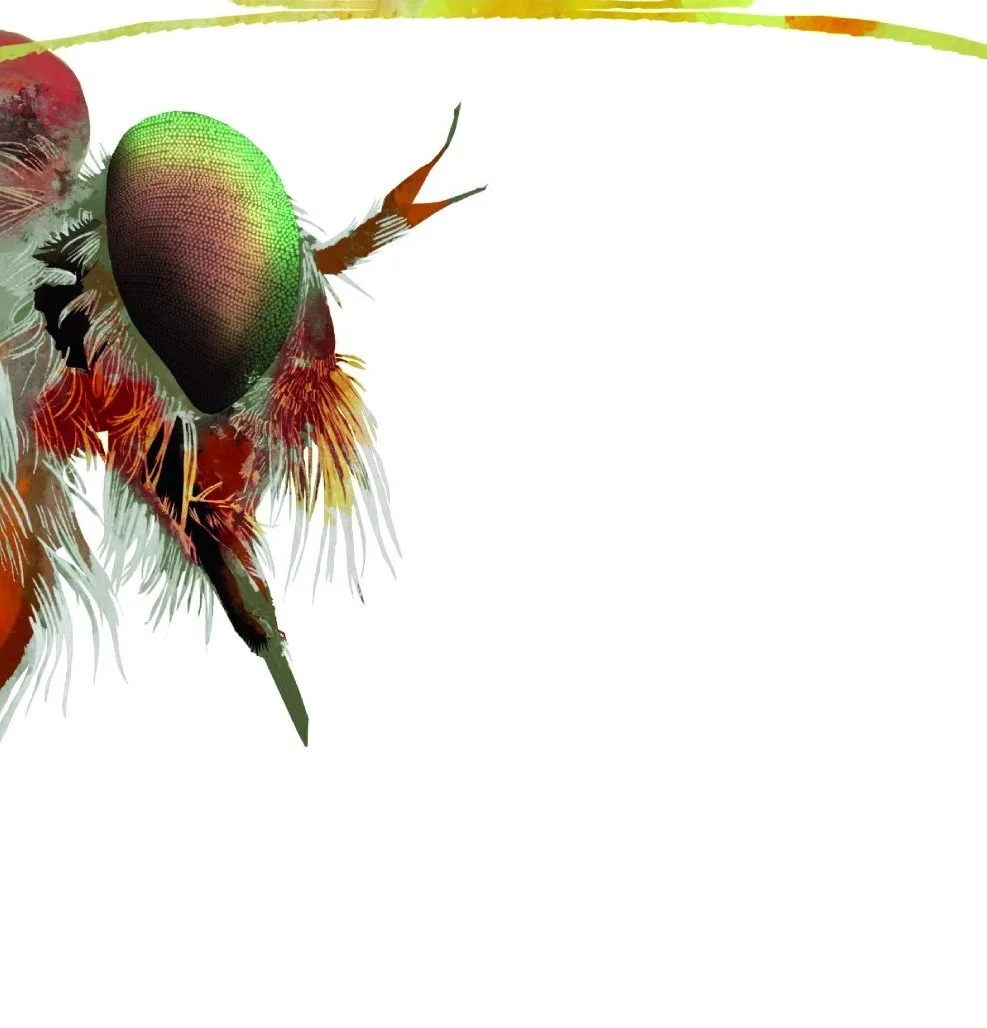 0b33987778cb06a3fb38710bf02d494e copy 4.jpg