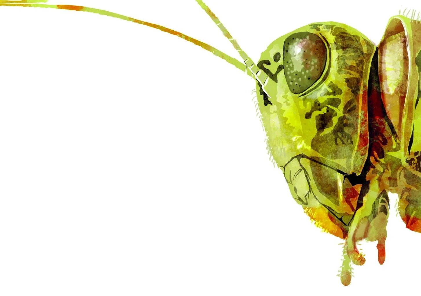 0b33987778cb06a3fb38710bf02d494e copy 2.jpg