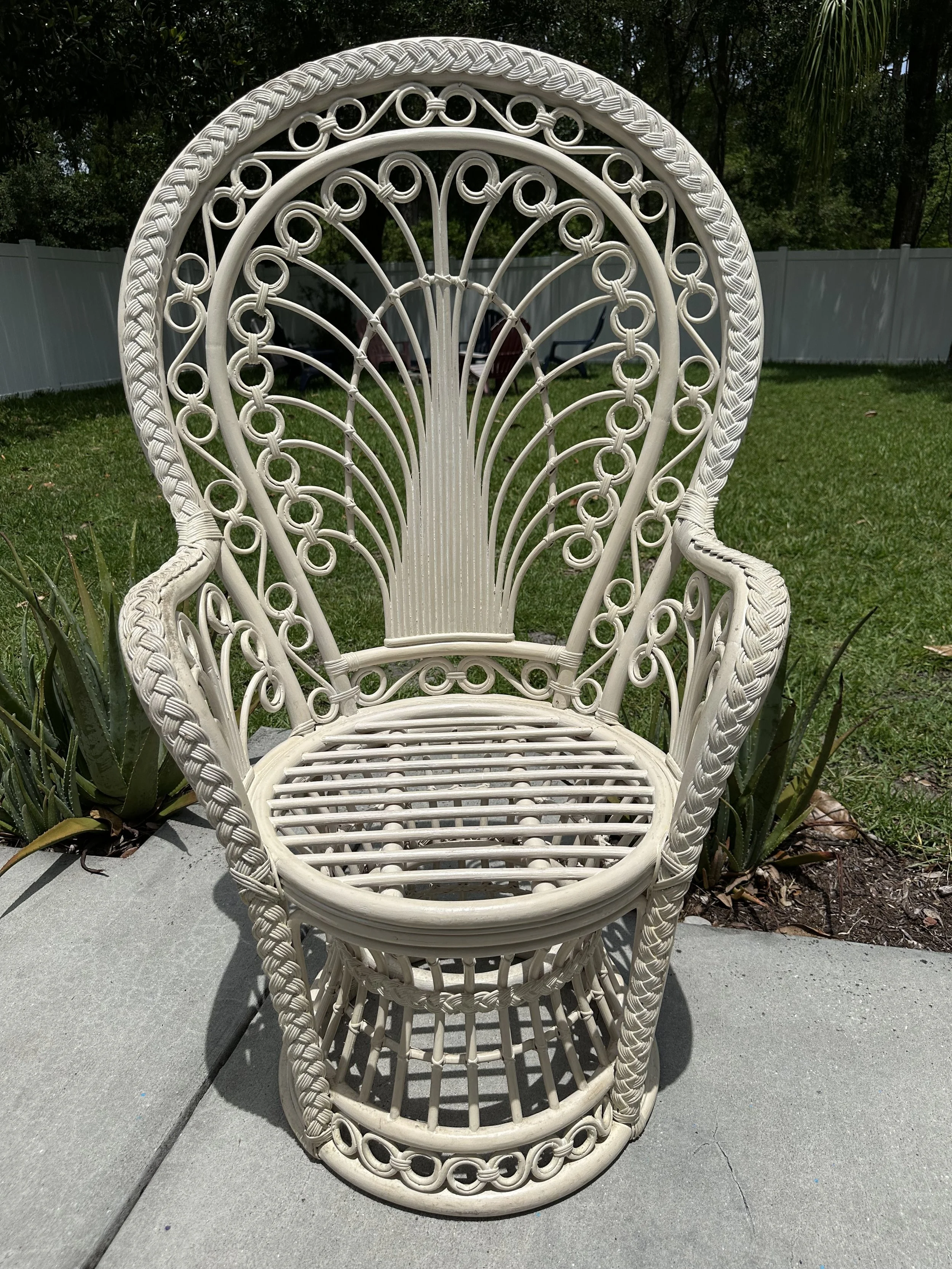 Peacock Chair