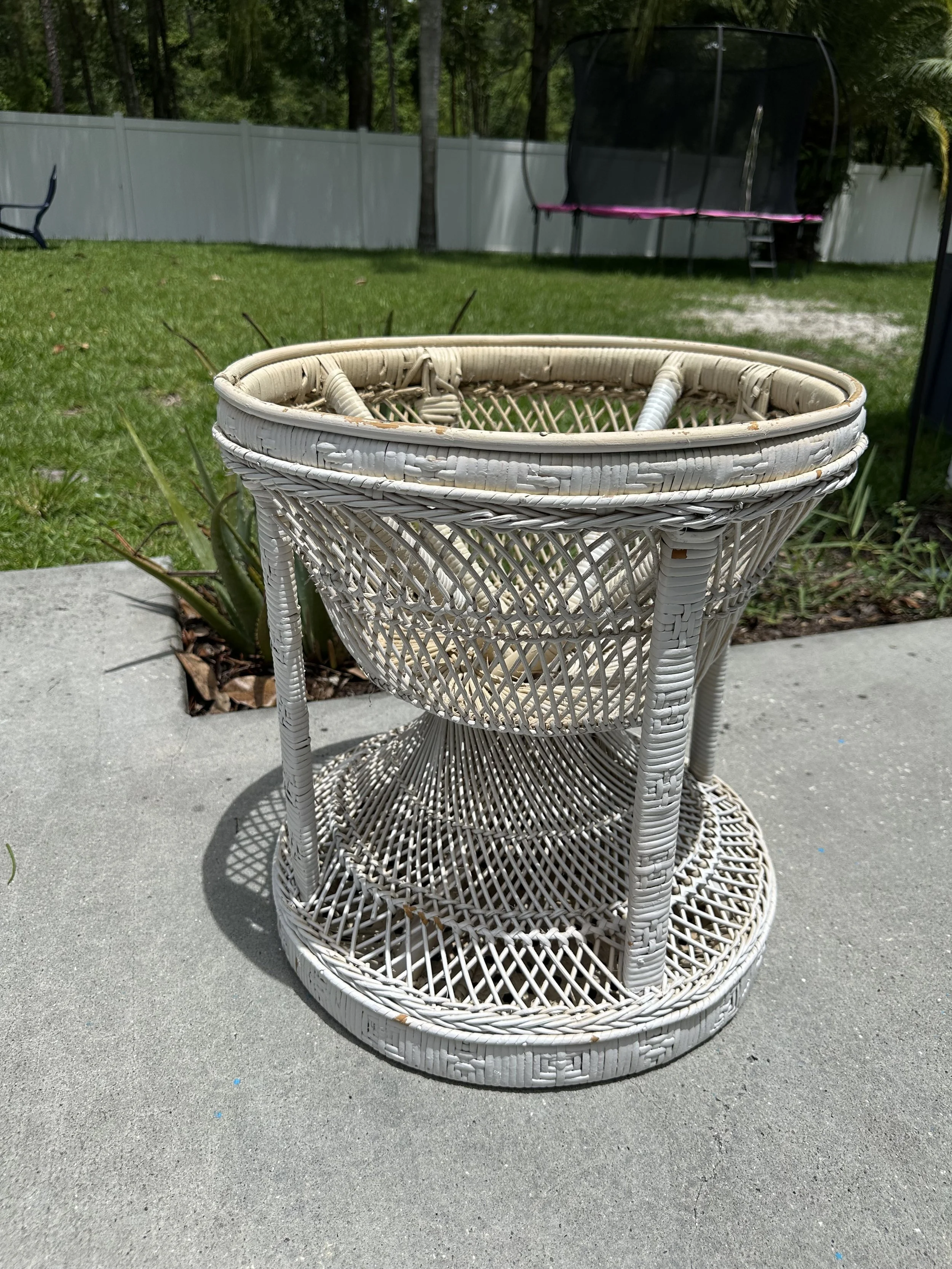 IMG_6819.jpeg (Copy)