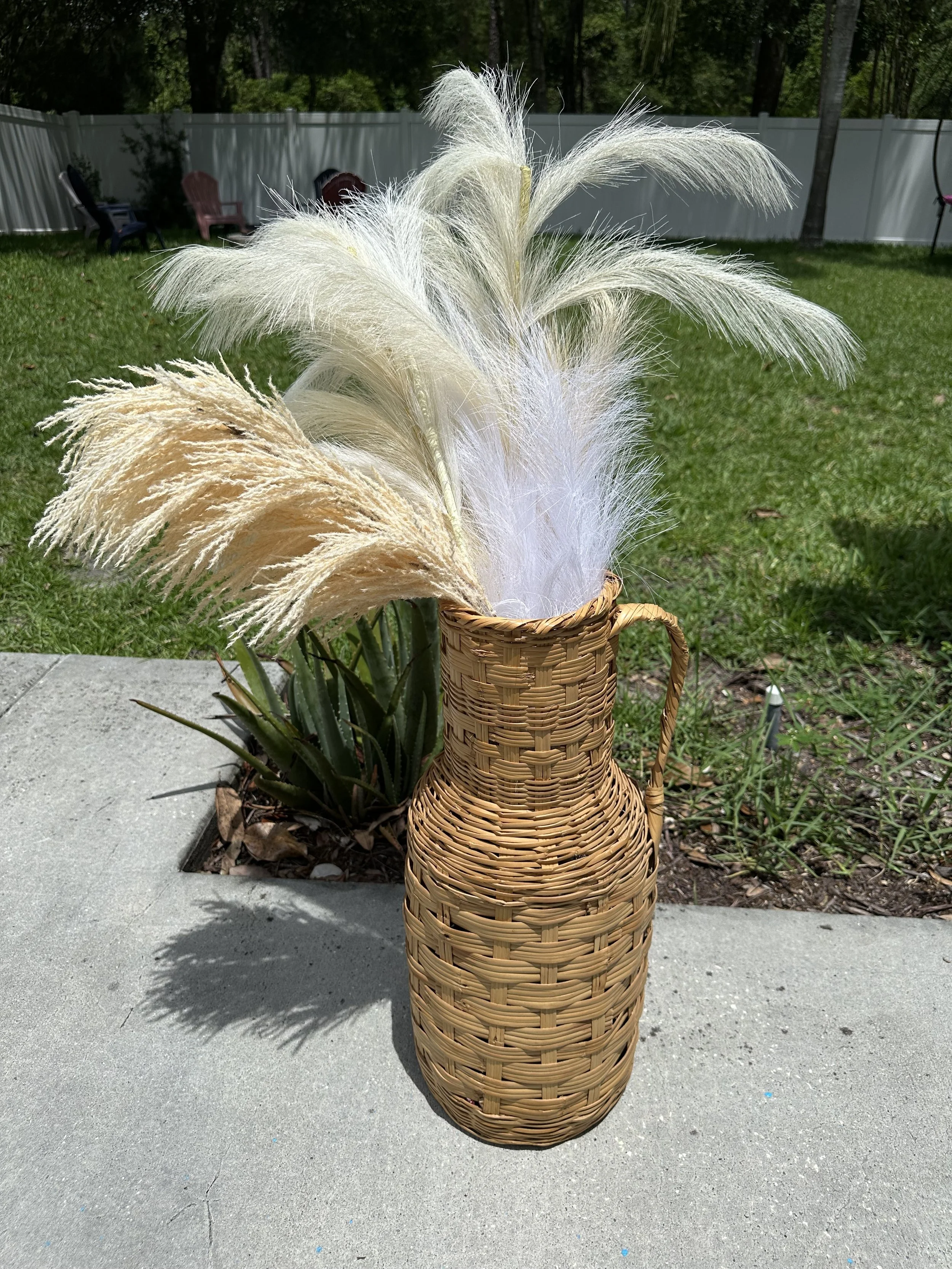 IMG_6812.jpeg (Copy)