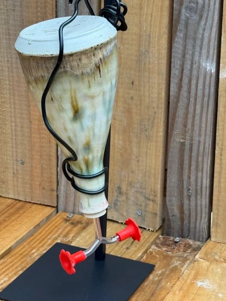 Hummingbird+2.jpg