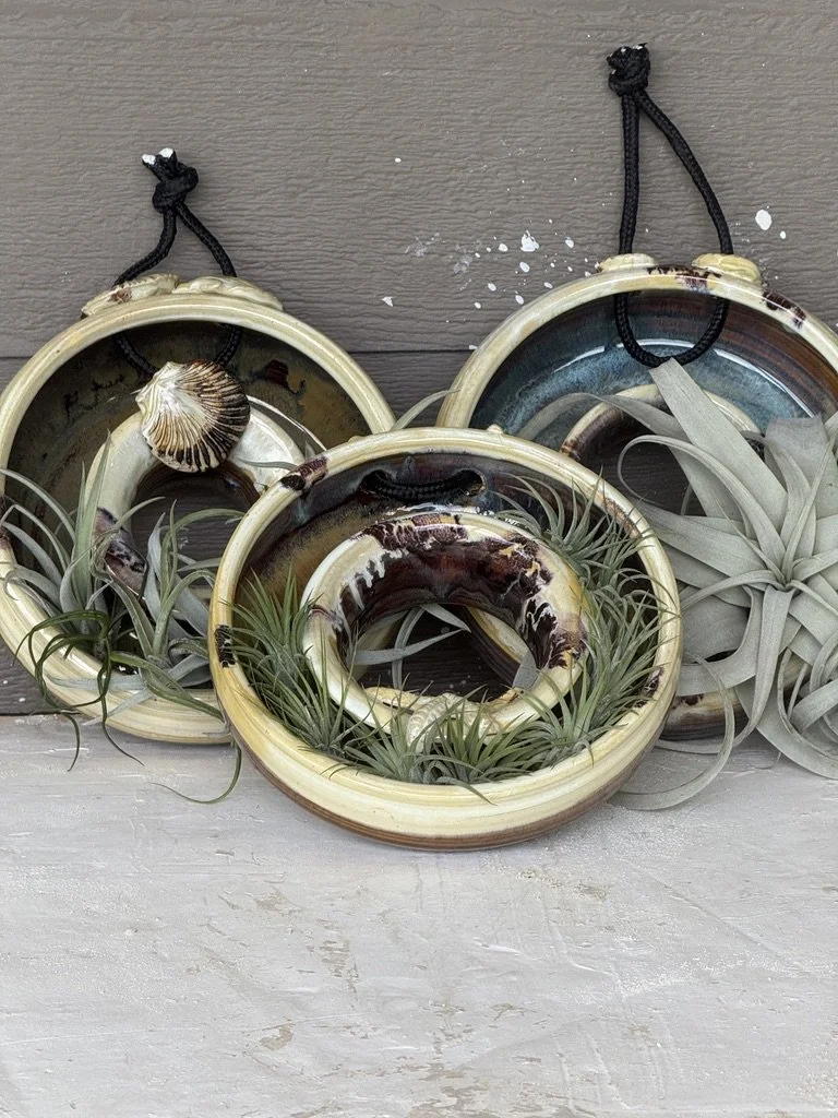 Air Plants.jpg