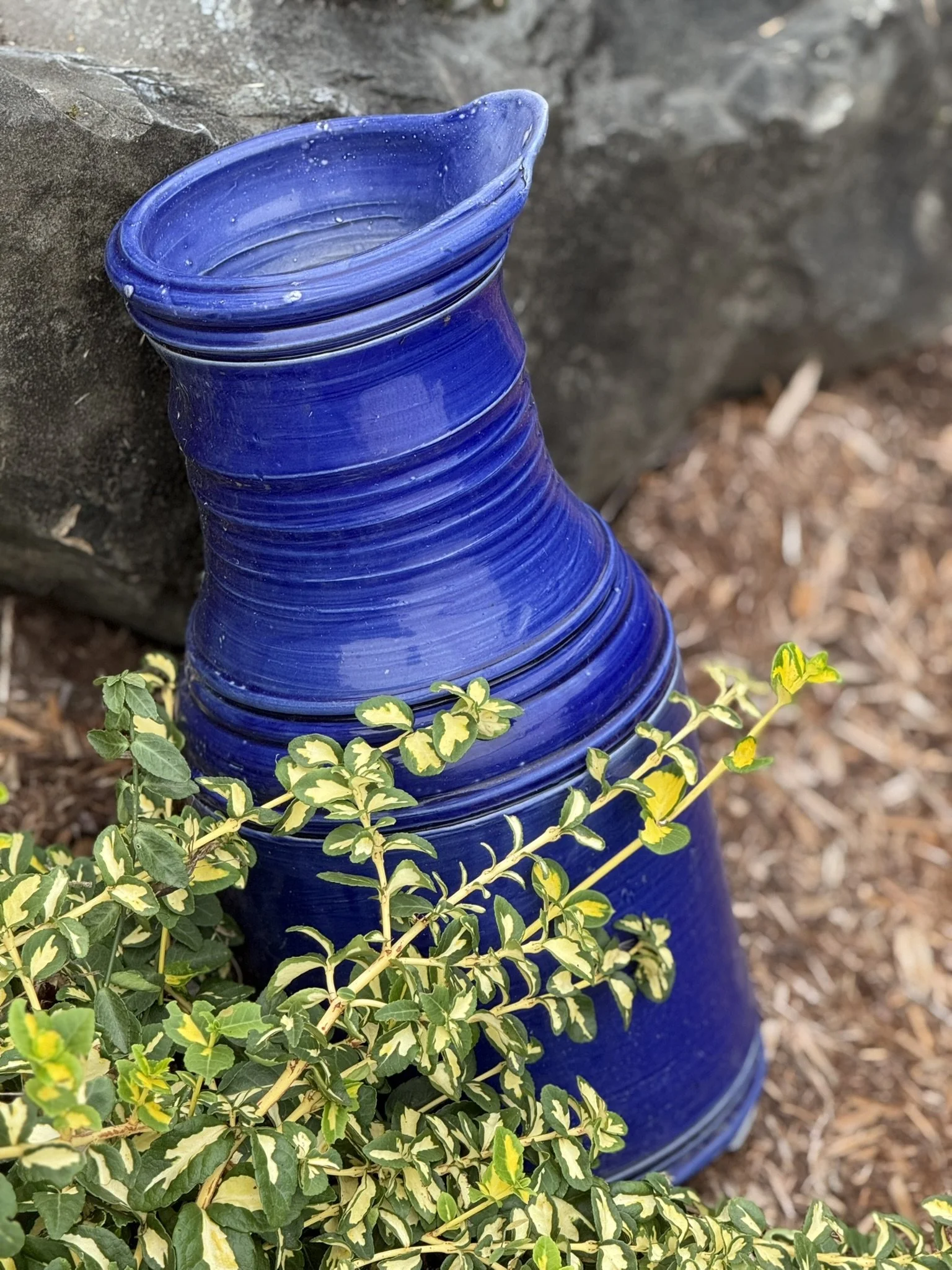 A large, unevenly shaped blue glass vase resting on mulch and leaning against a stone wall, partially obscured by green and yellow variegated leaves.