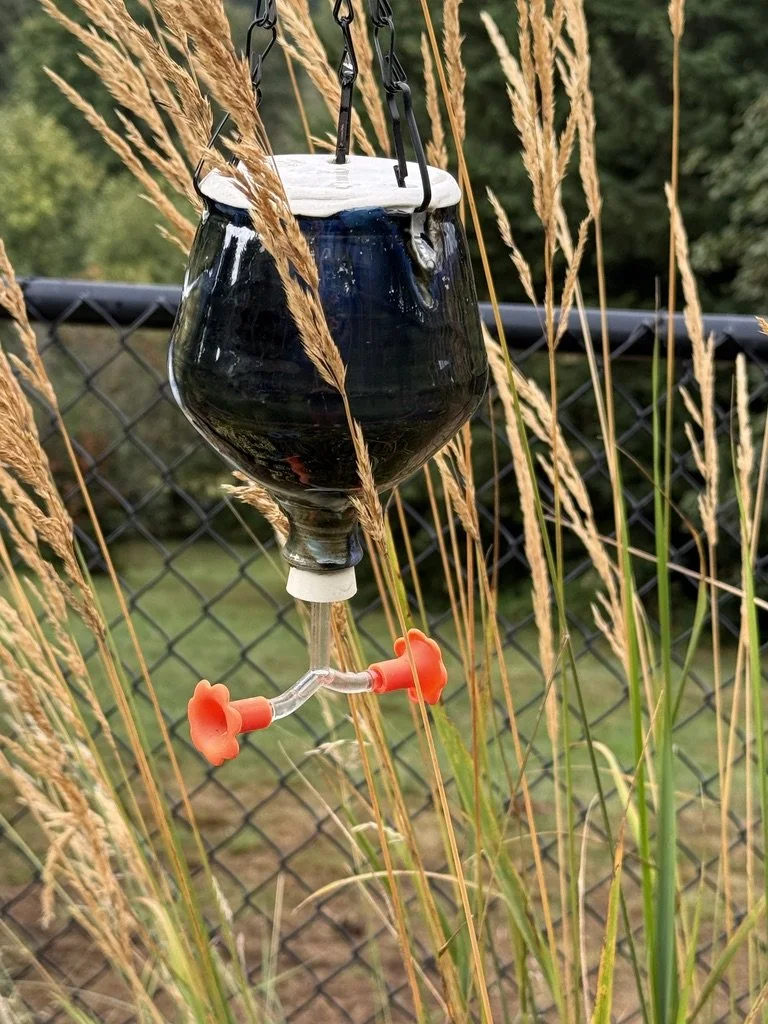 Hummingbird 3.jpg
