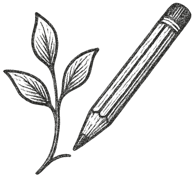 Black and white illustration of a plant with three leaves and a pencil pointing diagonally.