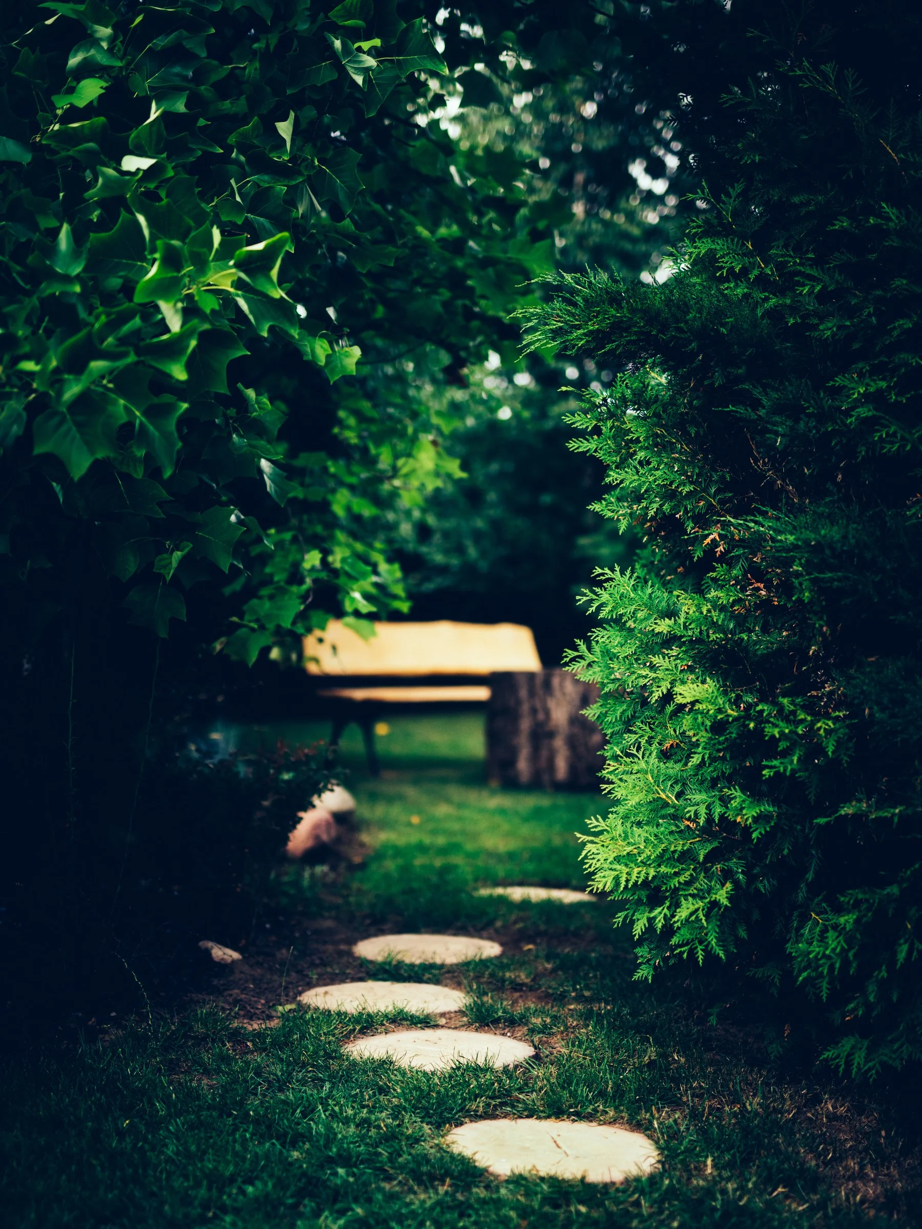 A garden pathway with circular stepping stones surrounded by green grass, bordered by lush green bushes and foliage, leading to a bench in the background.