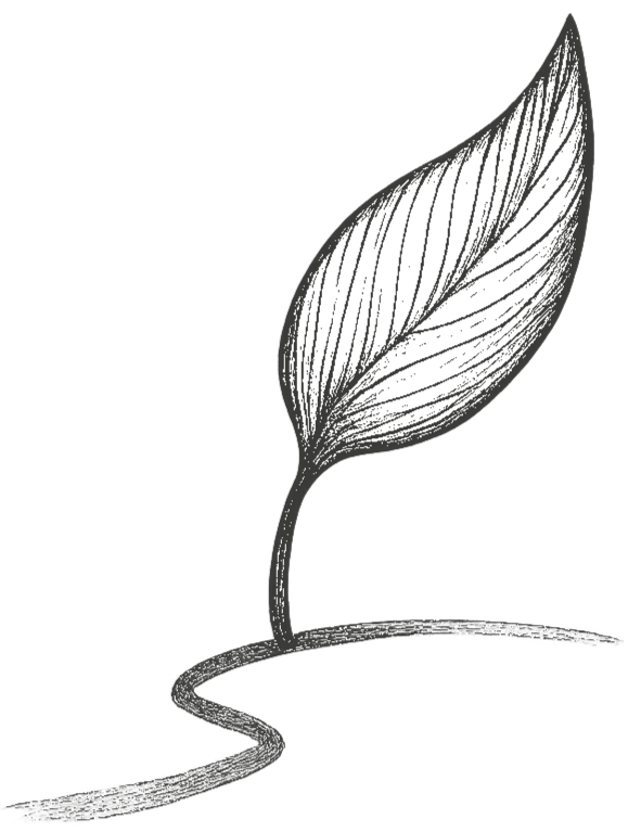 Black and white illustration of a leaf on a curving path