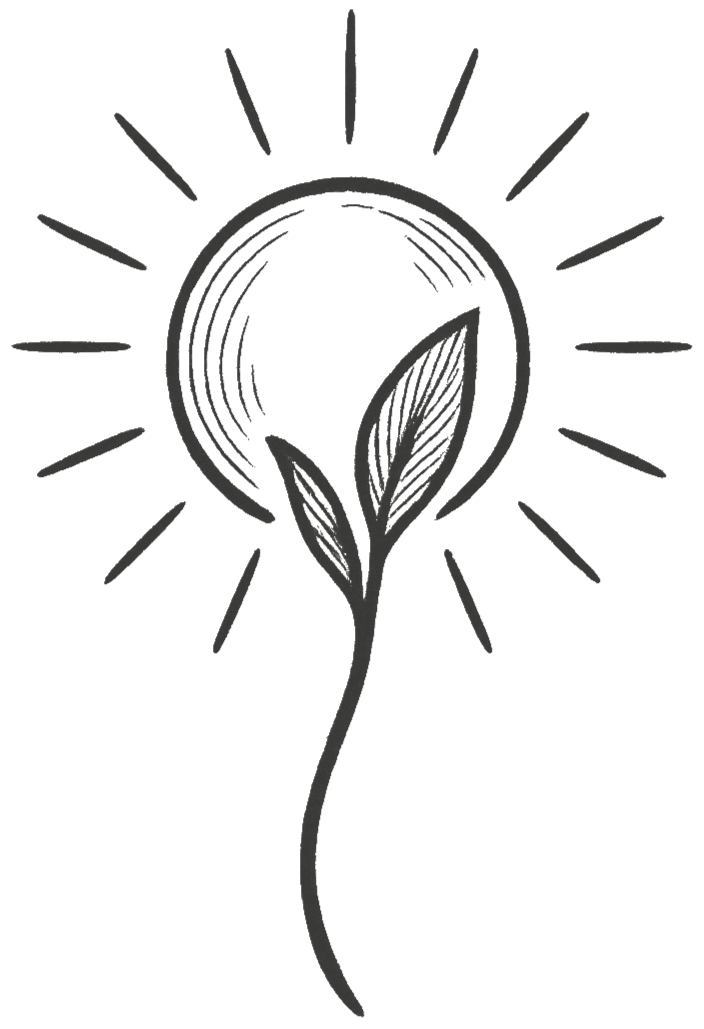 Black and white illustration of a sun with radiating lines behind a sprouting plant with two leaves.