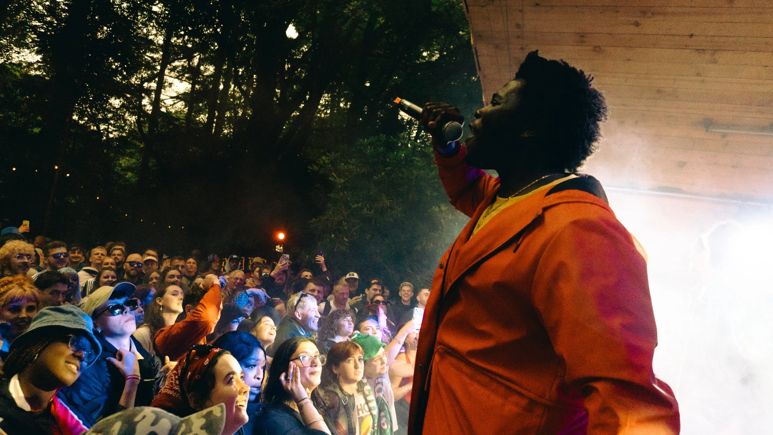 A performer with an afro hairstyle singing into a microphone on stage with a crowd watching at an outdoor event during the evening.