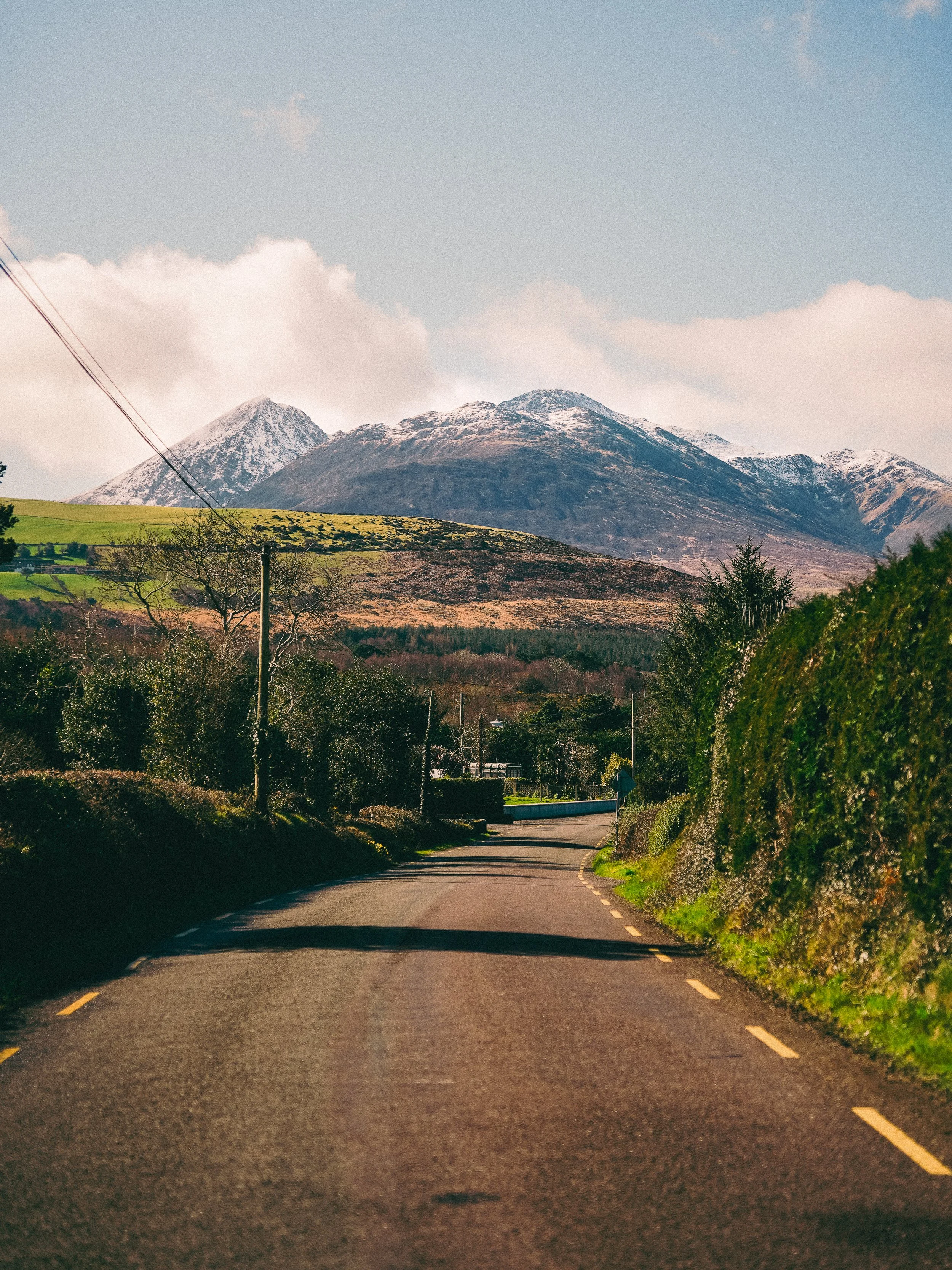 A scenic rural road with trees and bushes on both sides, leading towards snow-capped mountains in the background with a partly cloudy sky.