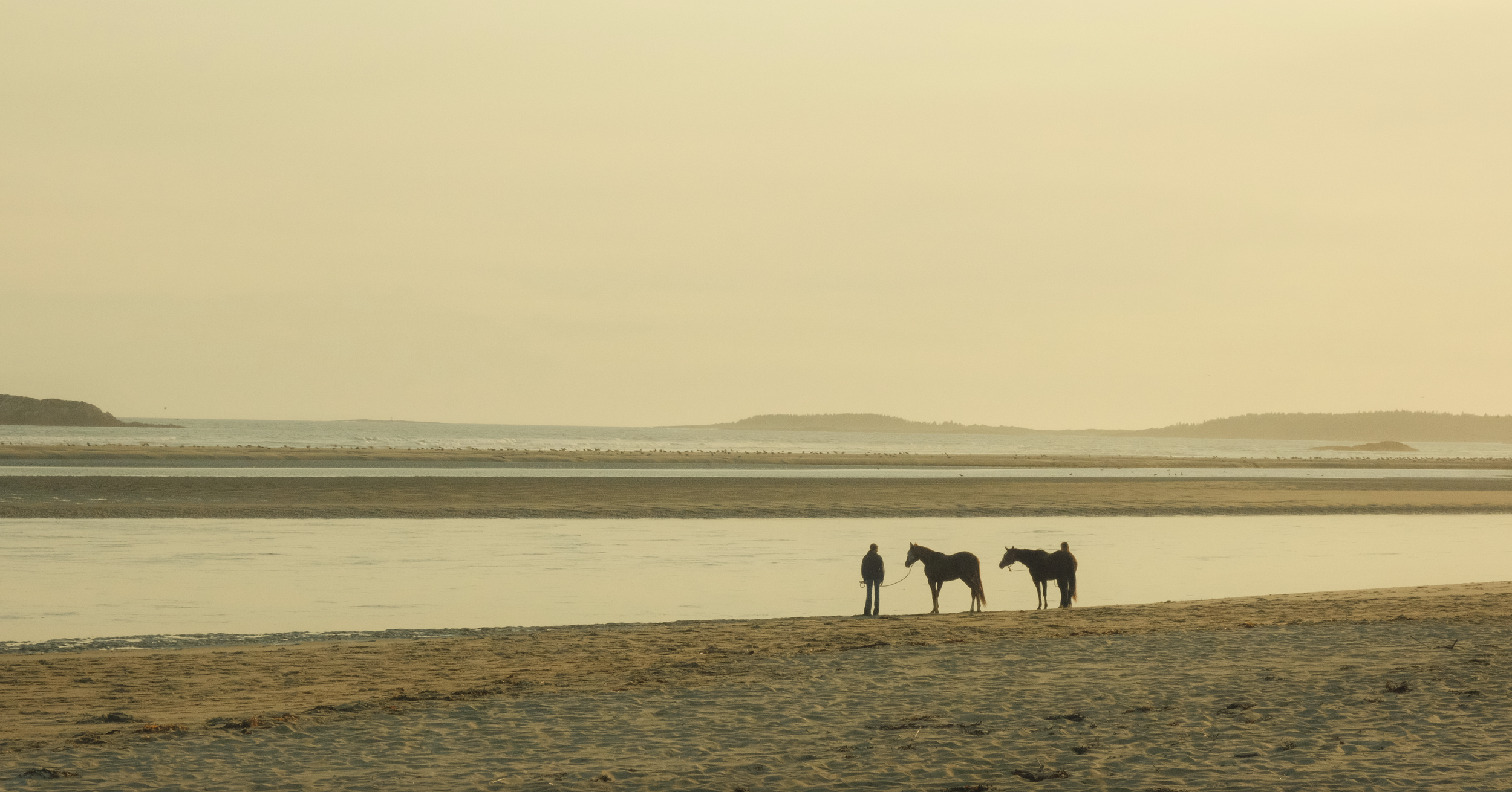 Screenshot 2025-09-02 at 2.54.39 PM.PNG