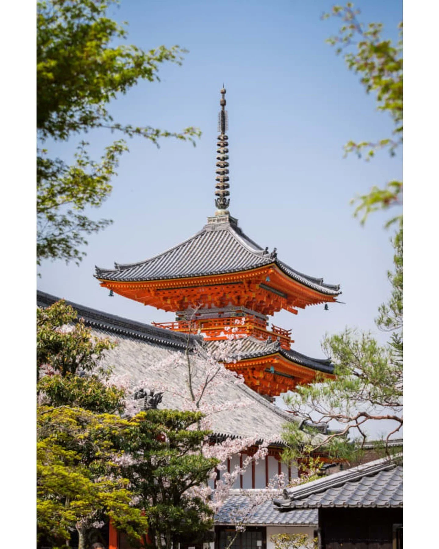 🇯🇵Embark on an unforgettable journey through Asia with our captivating itineraries! Explore the enchanting beauty of Kyoto, Japan, where you can visit stunning temples and shrines. 🌸

Ready to discover the wonders of Asia? Contact me today to book