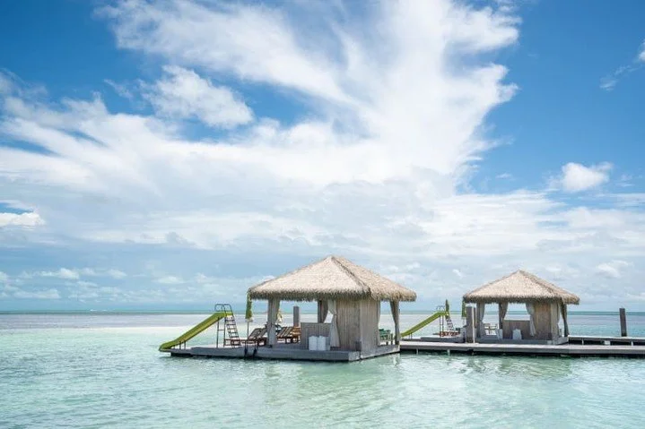 🌴🚢 Ready to reset your internal clock to island time? The 2026/2027 Caribbean sailings aboard Celebrity Cruises will relax you in ways you never knew possible. Contact me to book your dream Caribbean getaway today!

Wandering Dog Travel LLC
(307) 3