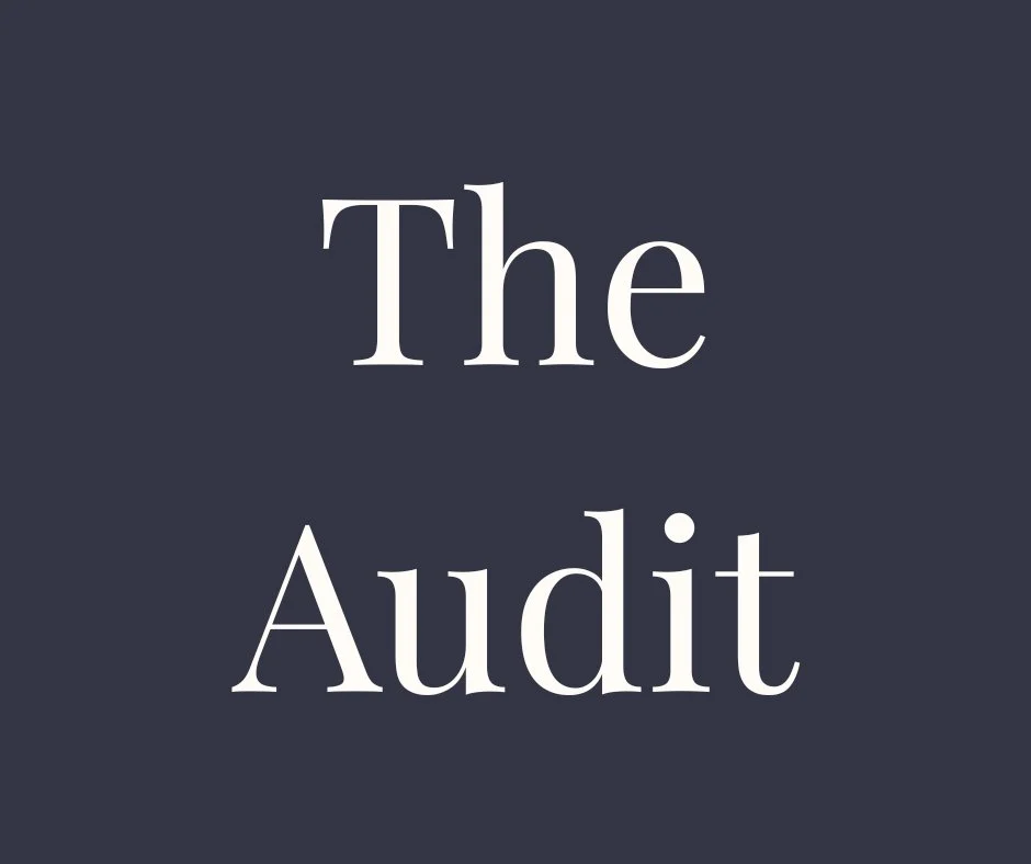 Text reading 'The Audit' on a dark background.