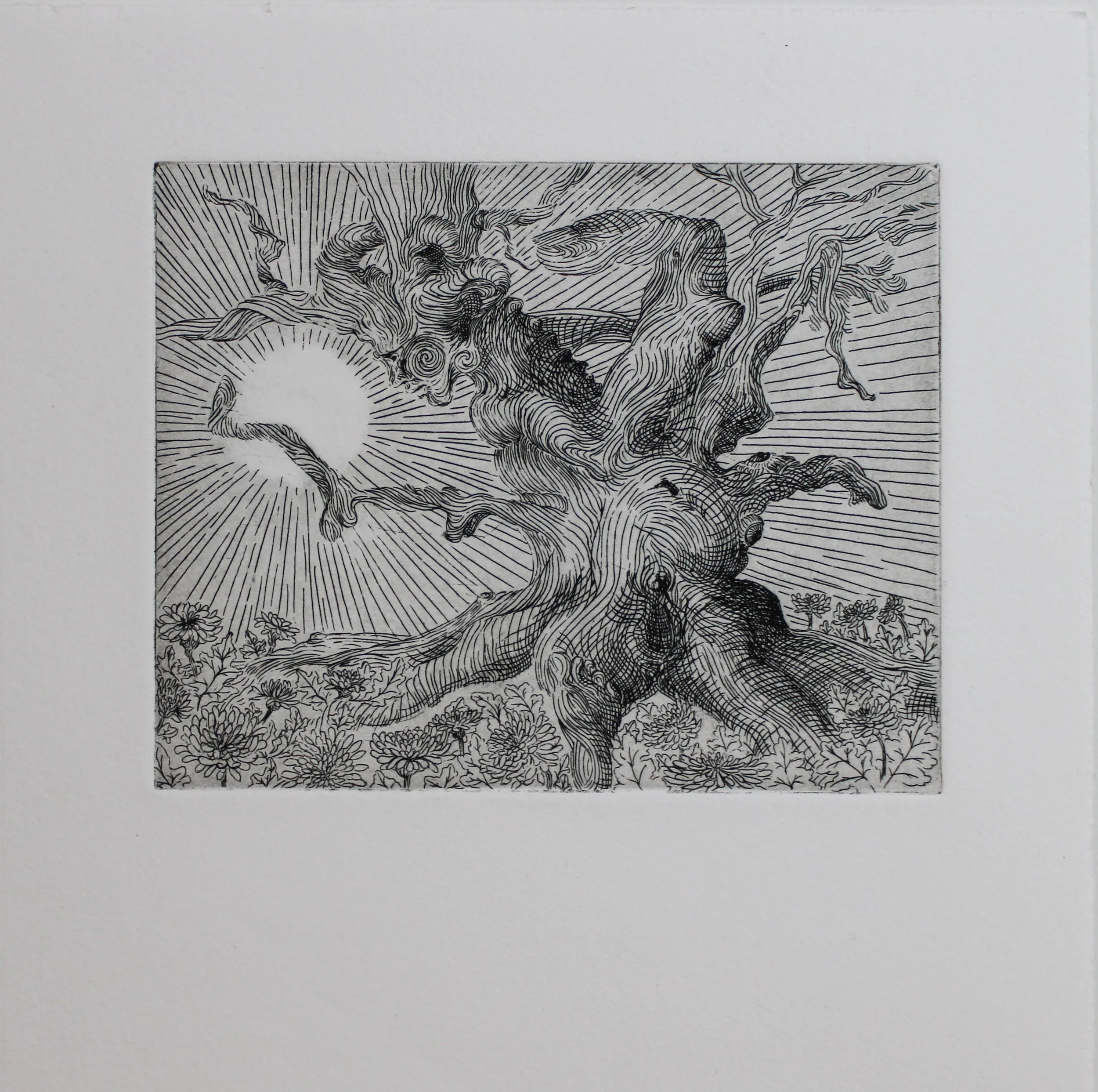 Title: Lovers Hill 
Date: 2026
Process: Etching
