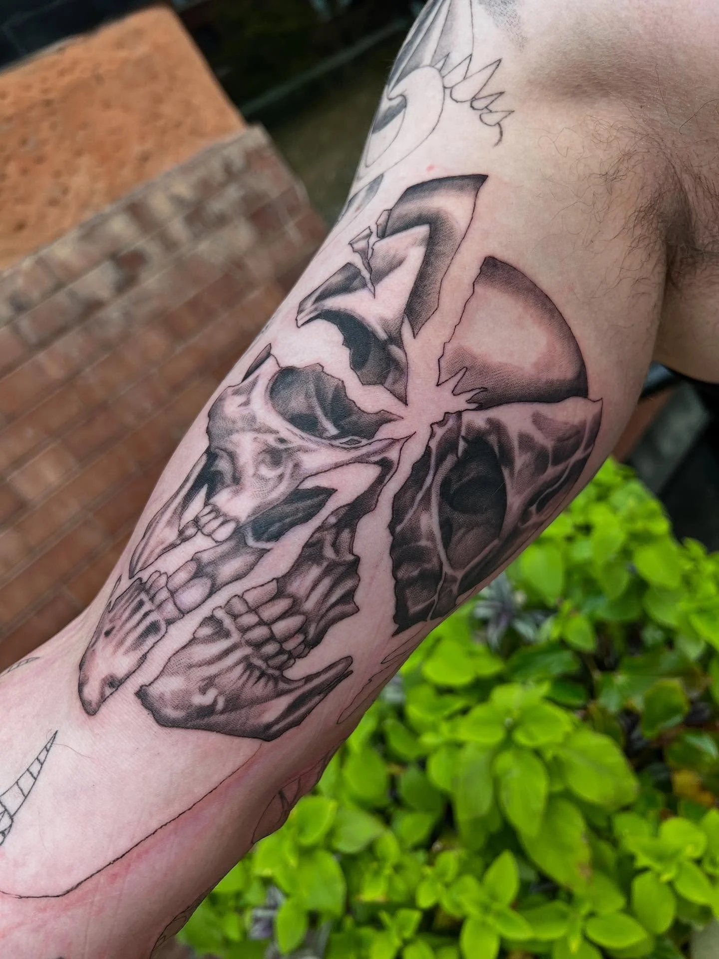 20 more sugar plums wearing their new art, thanks you guys 💓