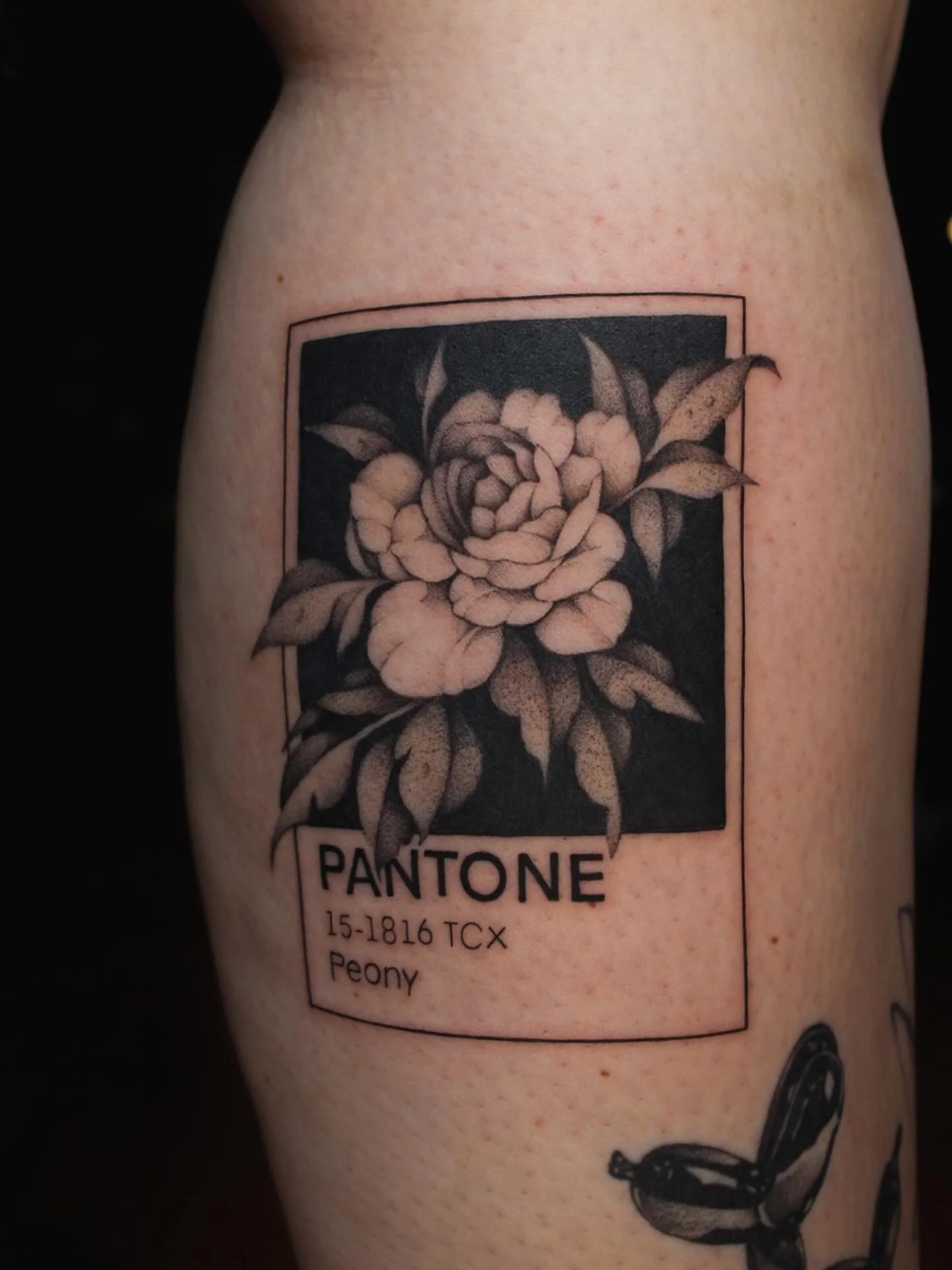 09 / 16 / 25
&bull;
I finally got the chance to tattoo one of my oldest flash designs!! Huge thanks to @kinlee.wright for being a supporter since day one!!
*peep the healed balloon dog in the corner:)*
&bull;
&bull;
#tattoo #tattooartist #omaha #omah