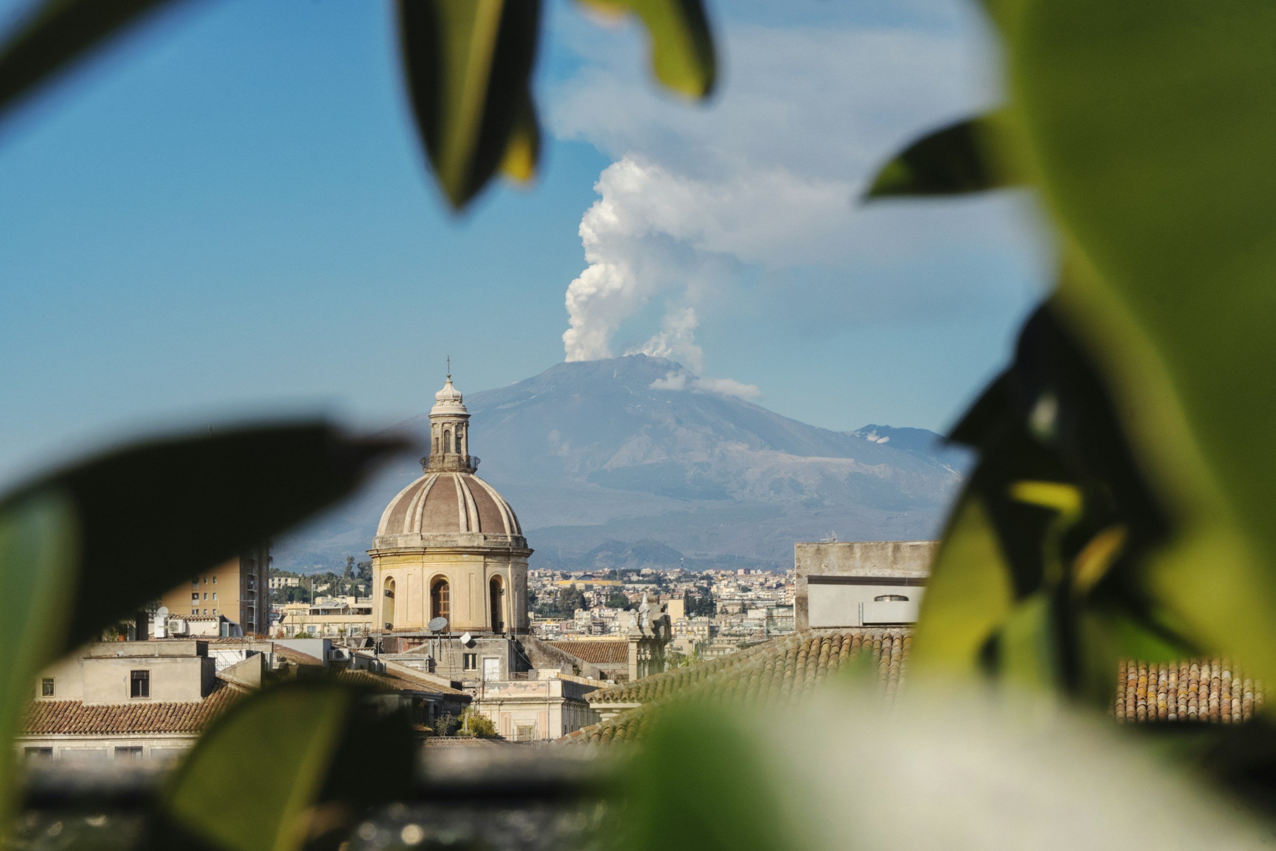 View of a cityscape with rooftops, a dome, and a mountain volcano emitting smoke in the background, seen through leaves in the foreground.