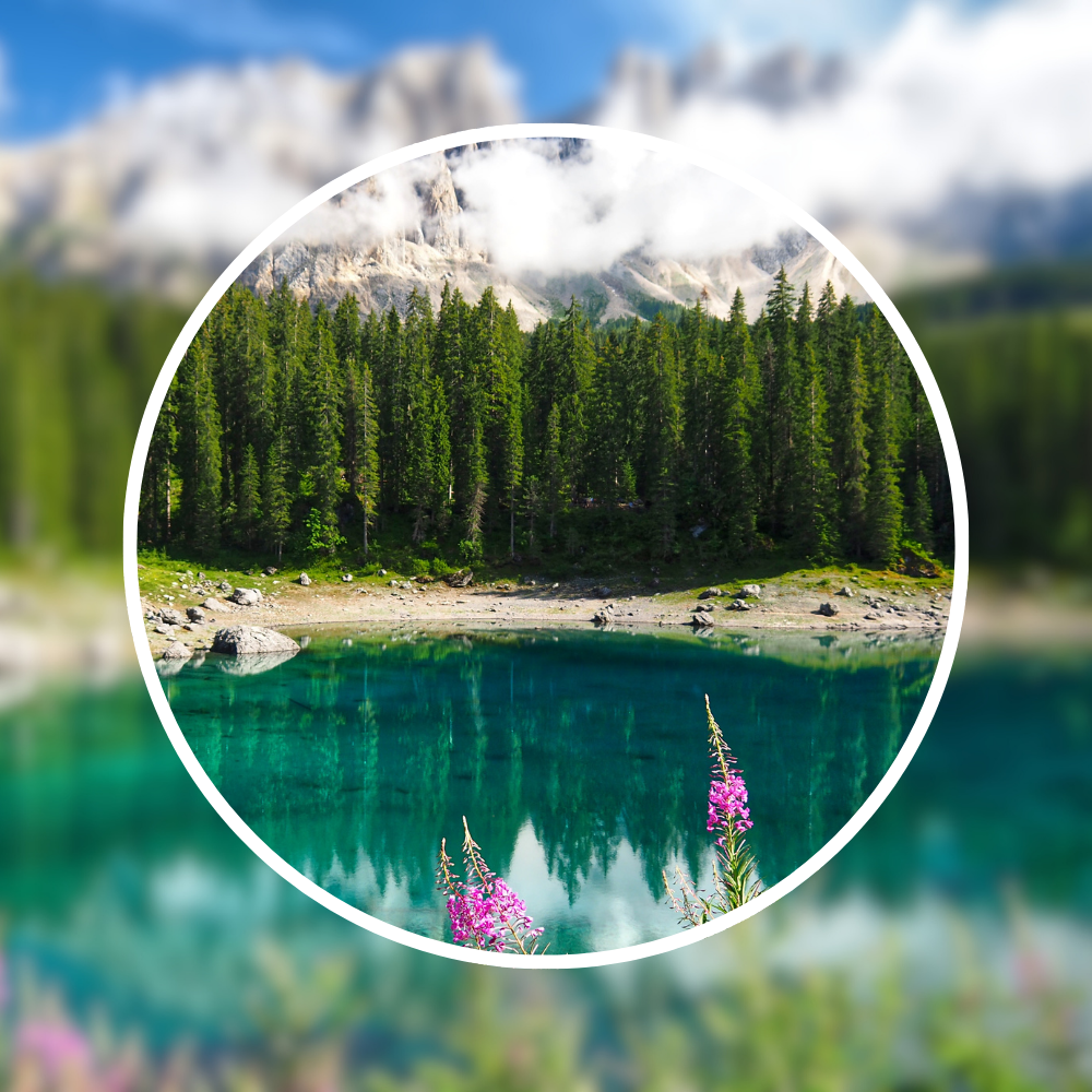 blurred image of lake with trees with center circle of image clear