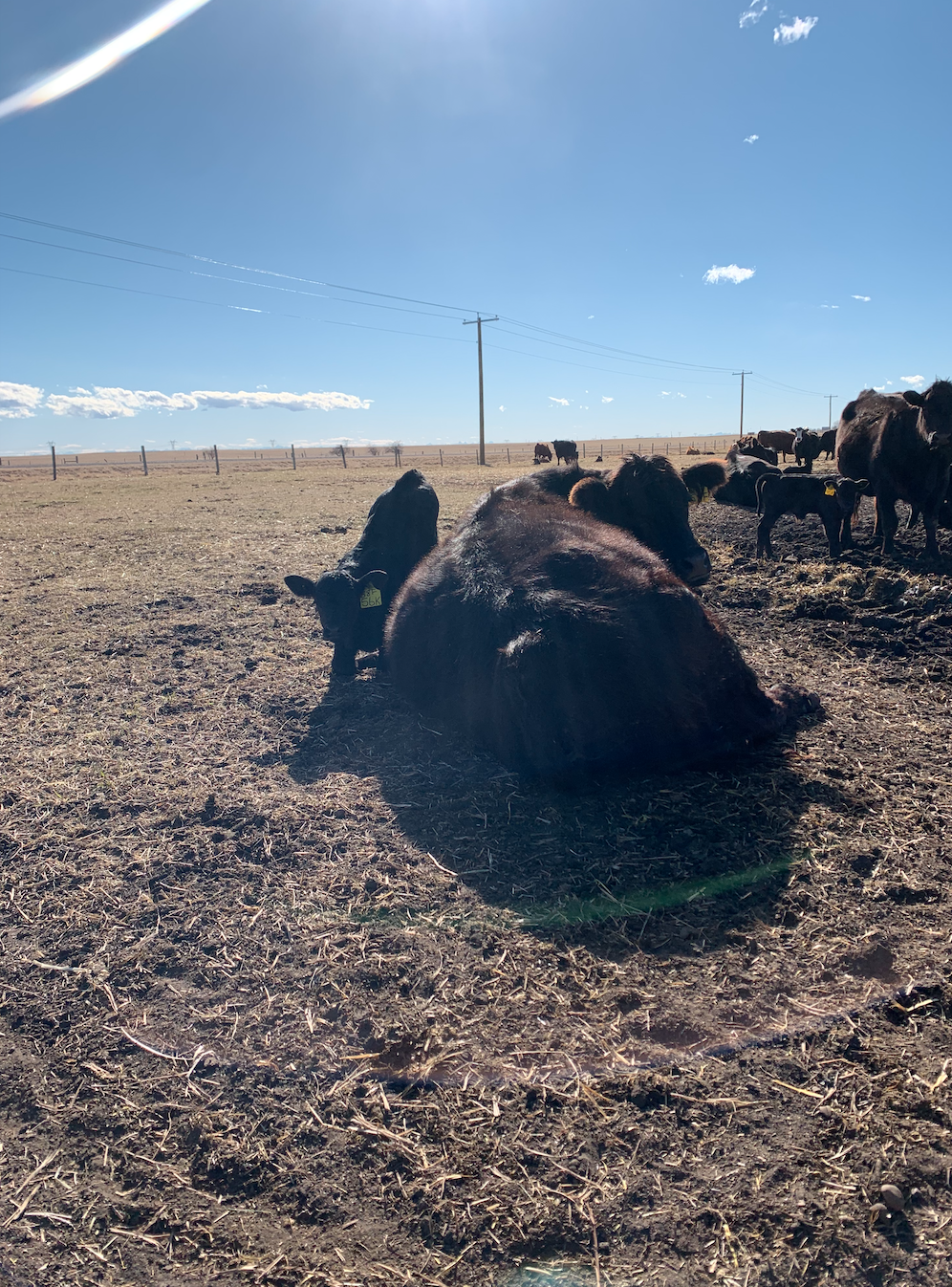 Screen Shot 2025-12-27 at 8.08.28 PM.png