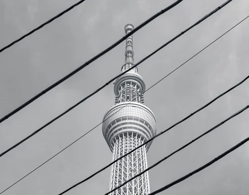 The Tokyo Skytree rising into the sky behind a web of power lines, seen from below, Tokyo, in black and white.
