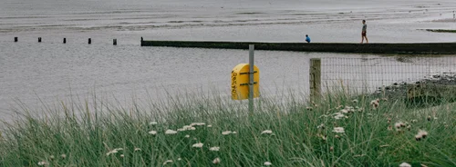 Dune grass and wildflowers in the foreground at Malahide, Dublin, a yellow marker post and a wooden groyne reaching into the calm shallows beyond.