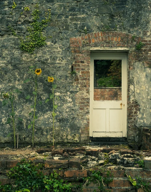 A weathered cream door set into an old stone and brick wall at Kylemore Abbey in Connemara, plants growing up against the worn masonry.