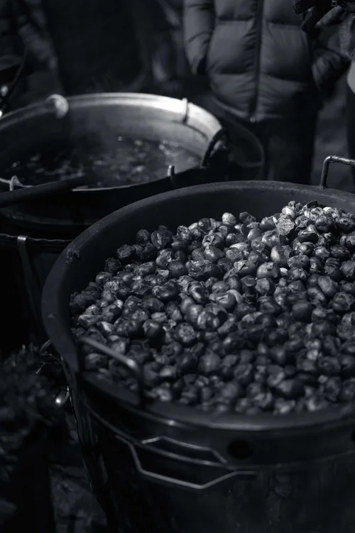 A large cauldron of roasting chestnuts tended at a winter market stall, Bucovina, Romania.