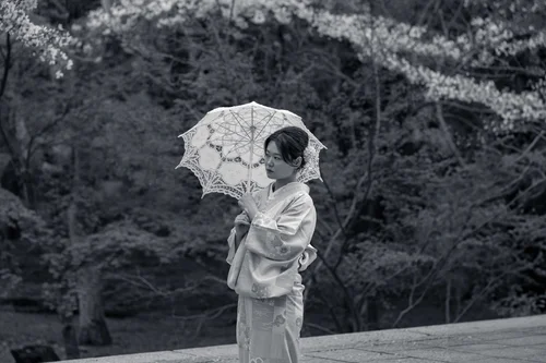 A person in kimono holding a lace parasol among the trees, Kyoto, in black and white.