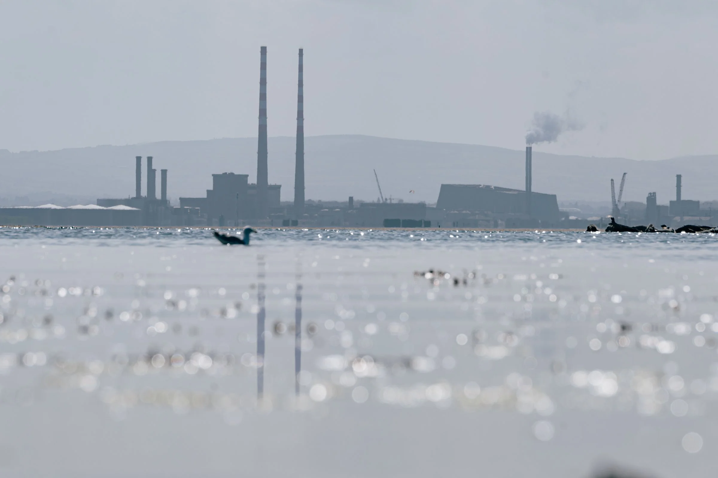 The two red and white chimneys of the Poolbeg towers seen across wet sand at low tide, a small boat on the water and low hills along the horizon.